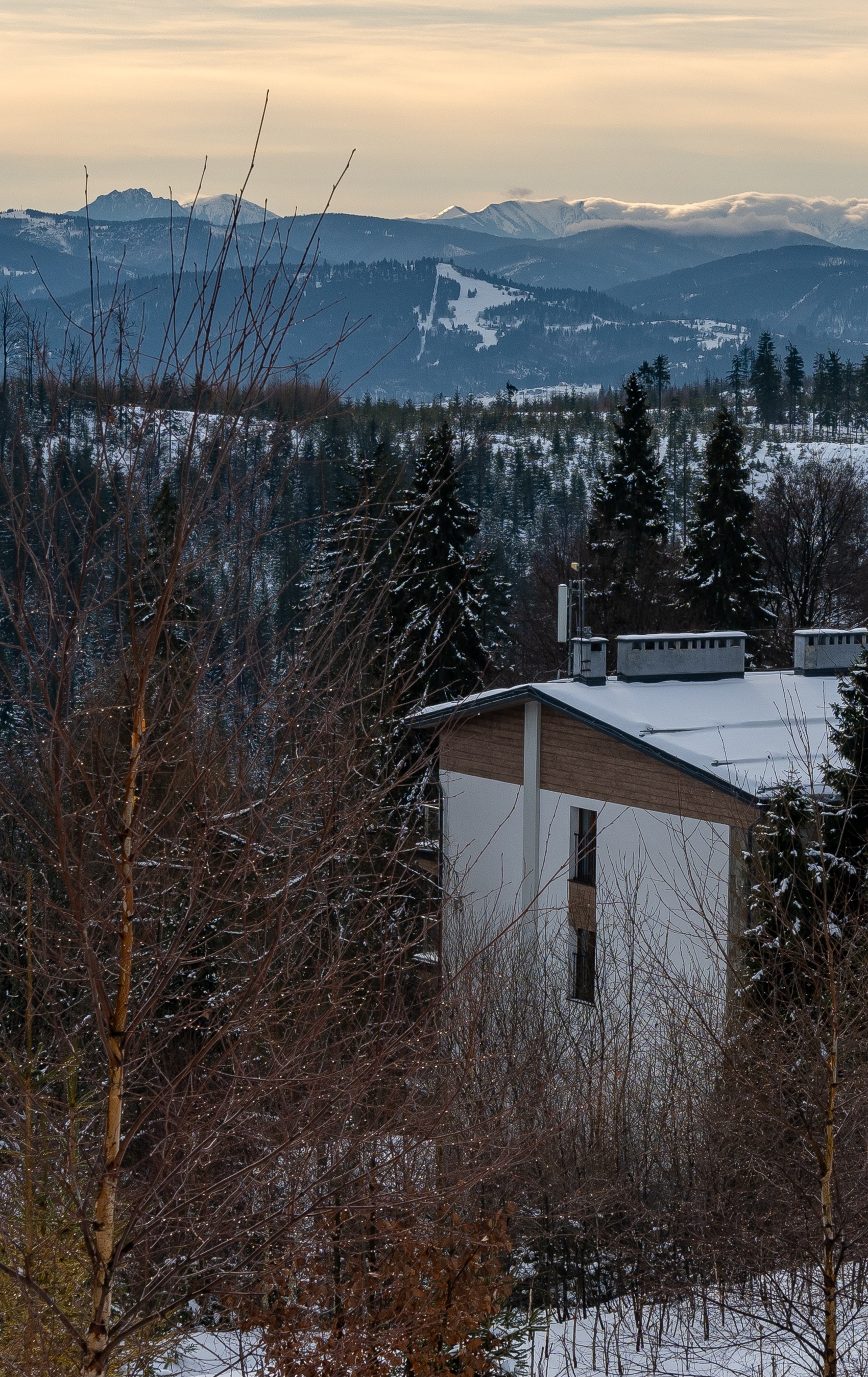 DSC_0382_1.jpg
