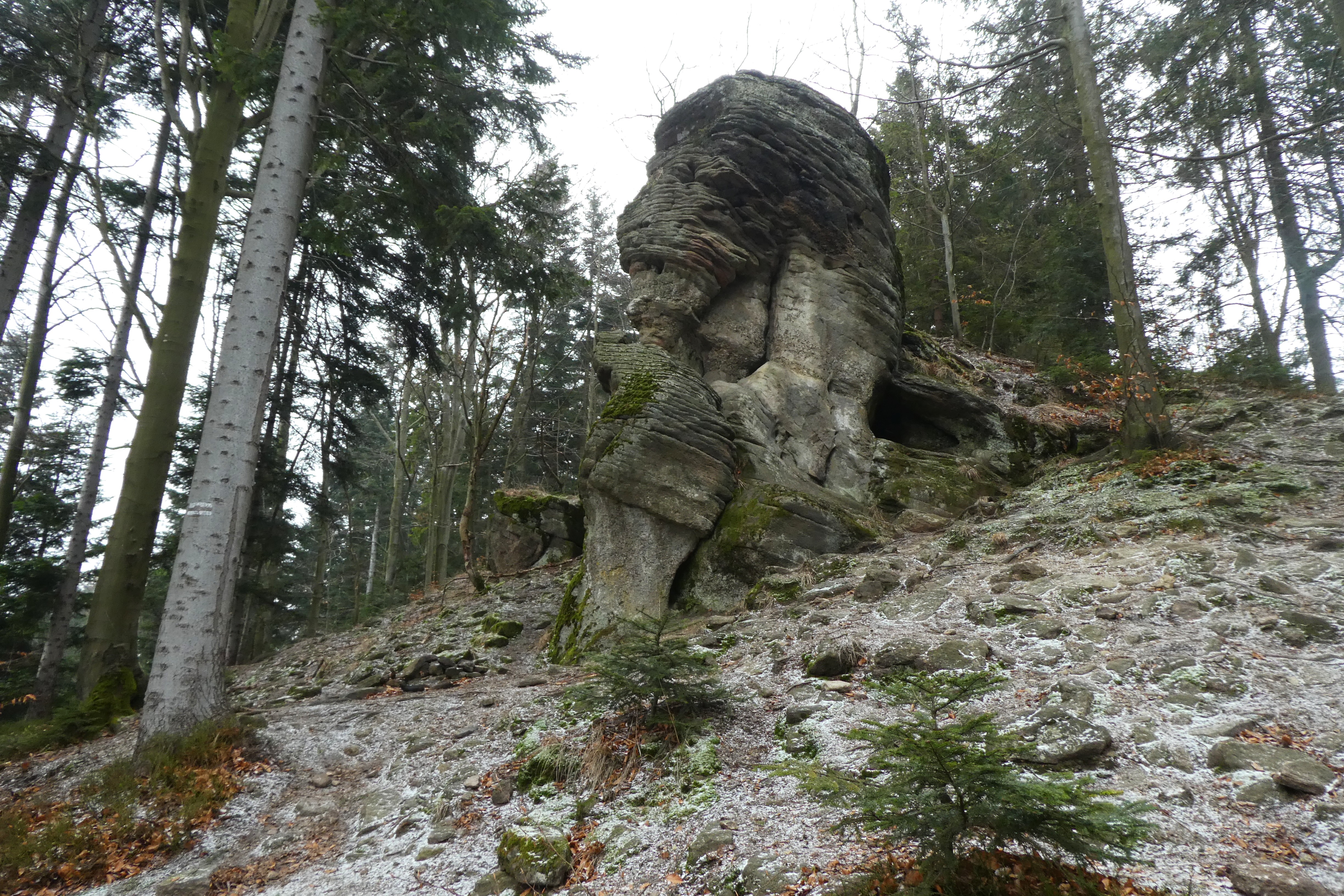 P1590205.JPG