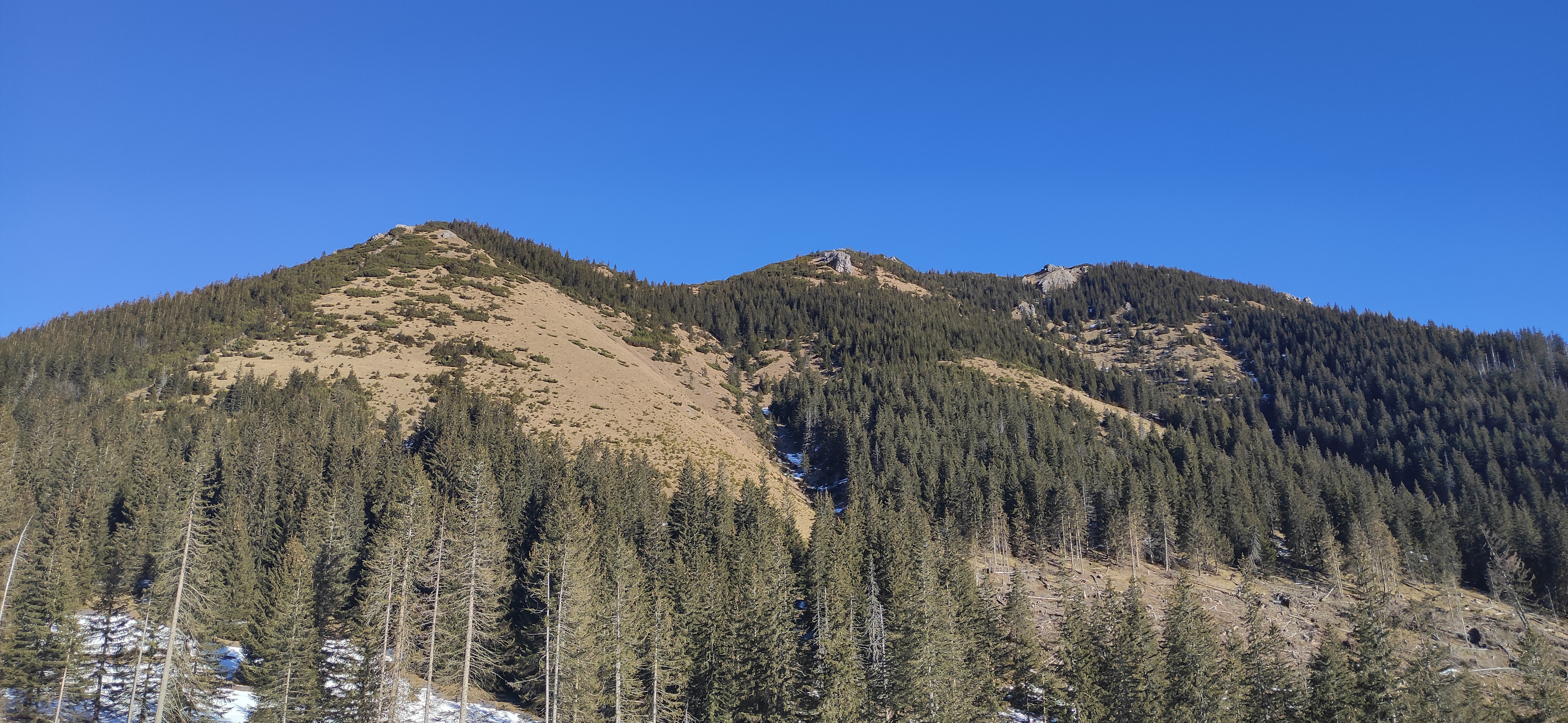 IMG_20250204_102200.jpg