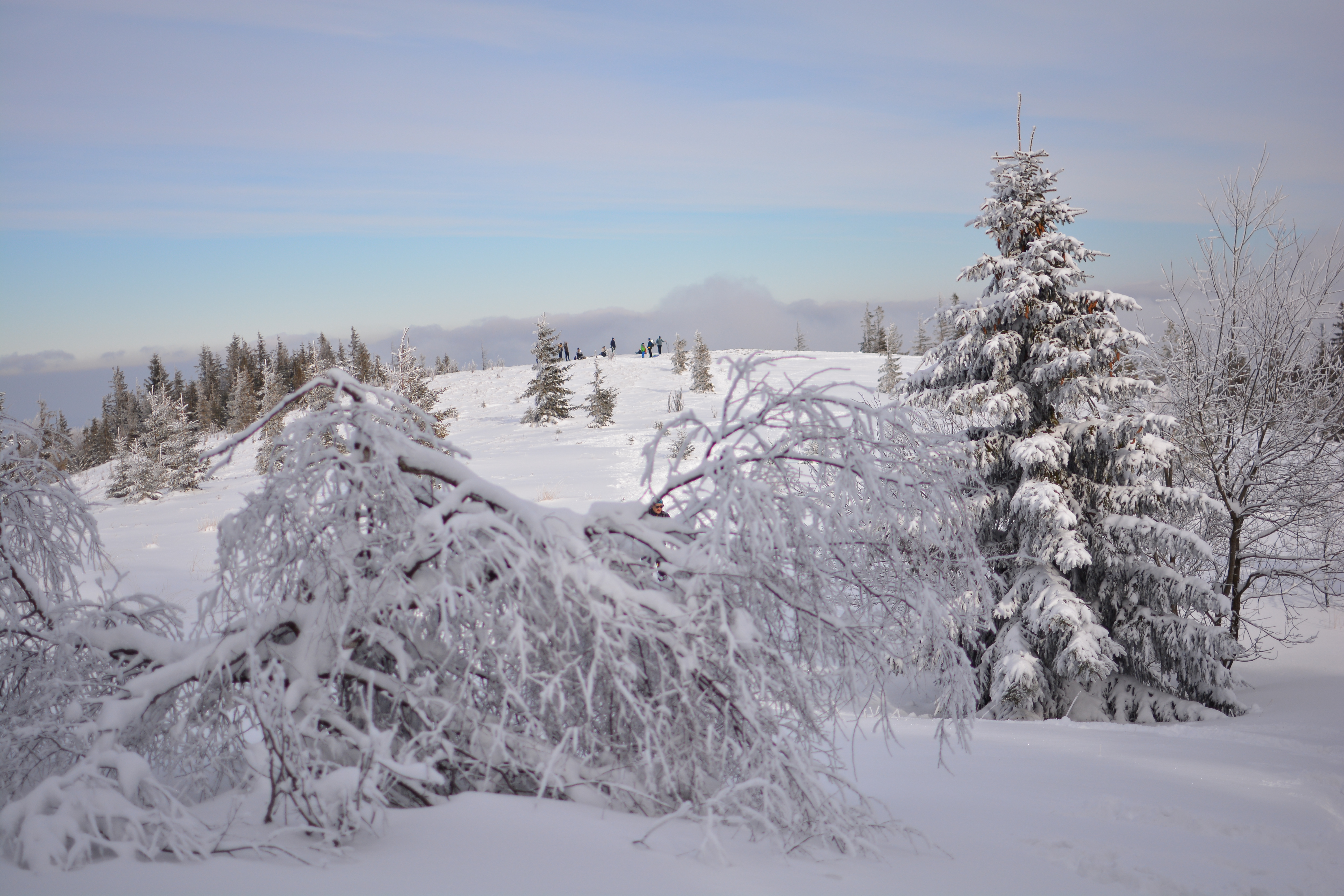 DSC_0274.JPG