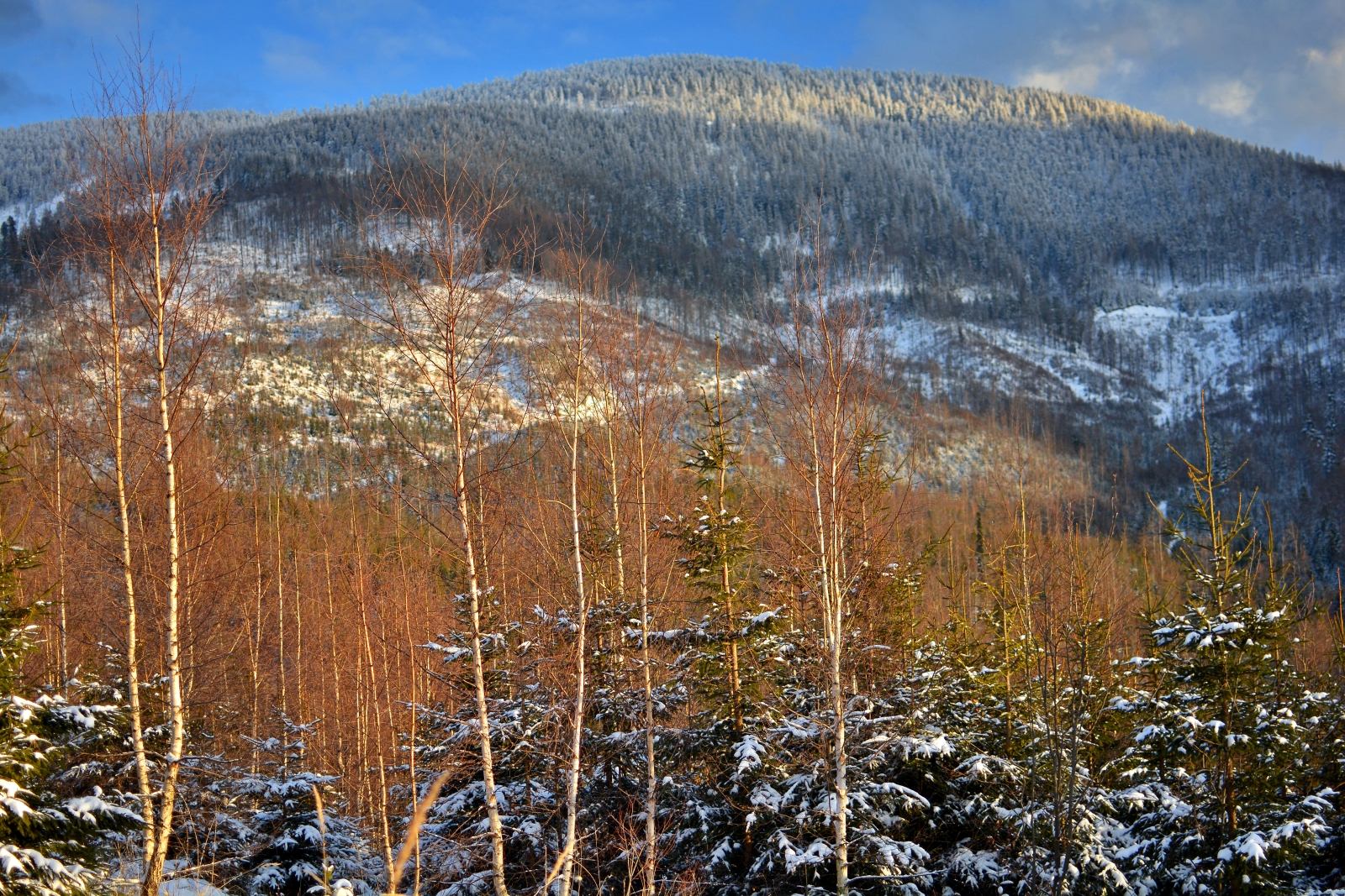 DSC_0377.JPG