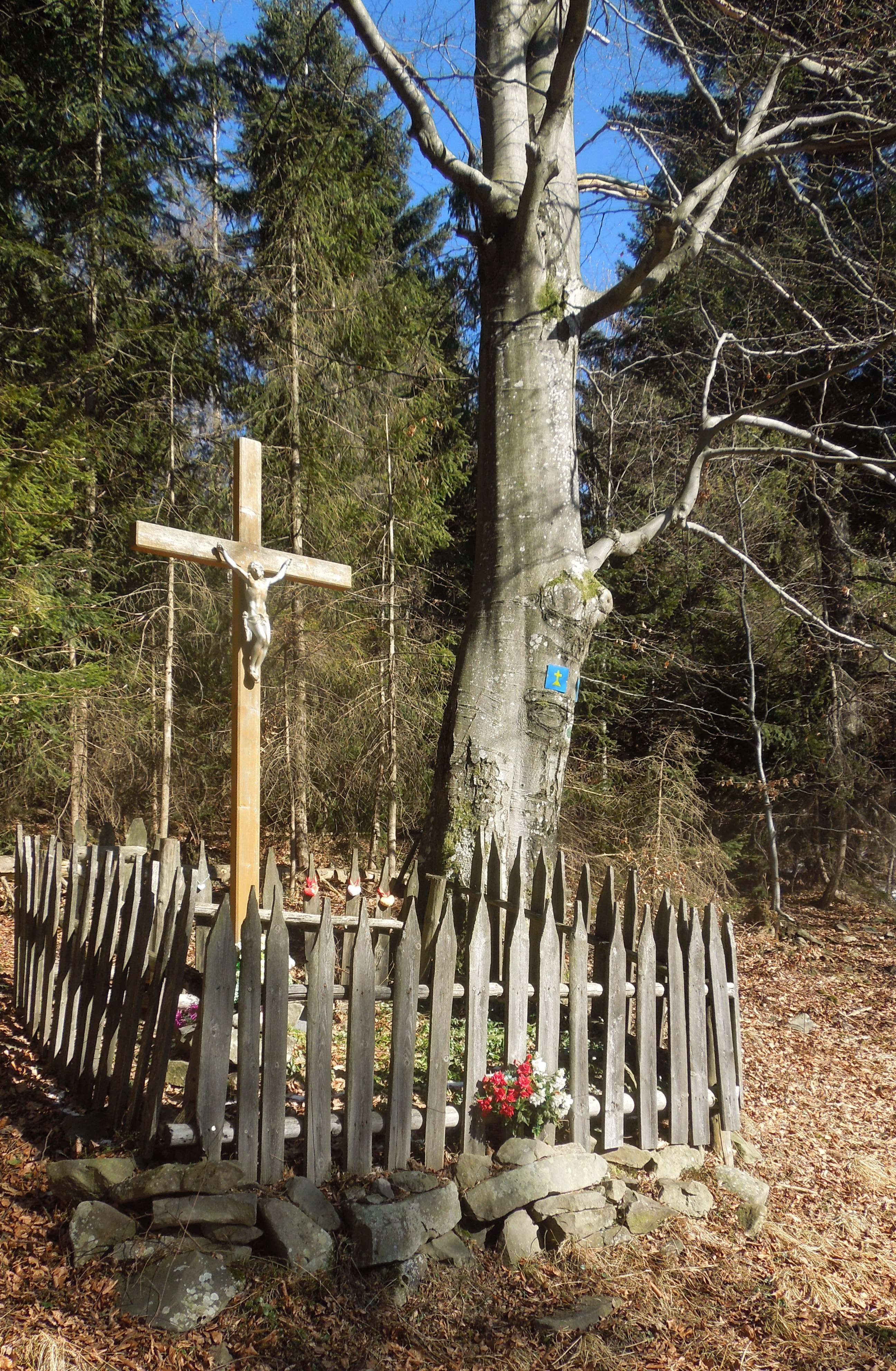 DSCN4154.JPG