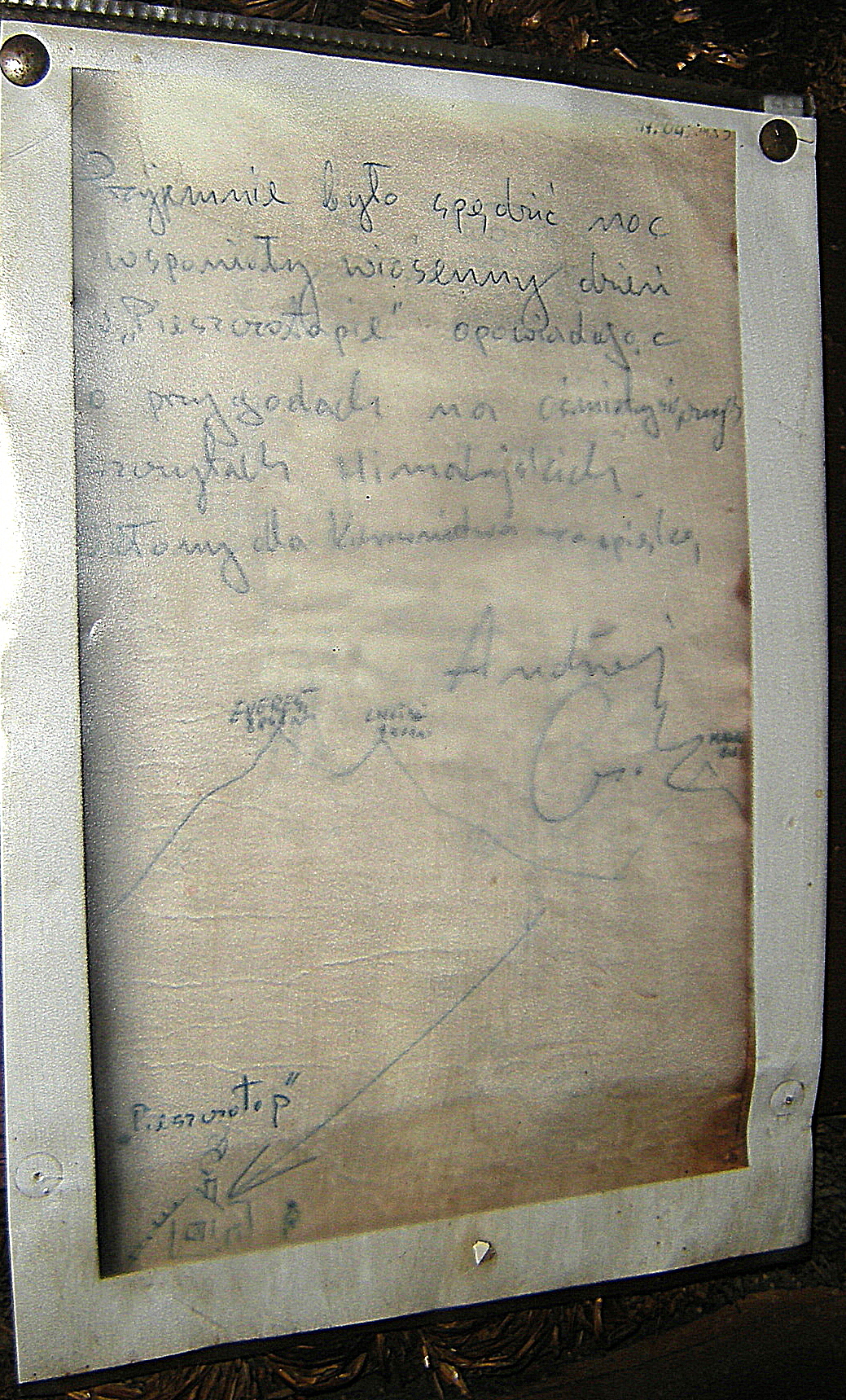 DSCN4601.JPG
