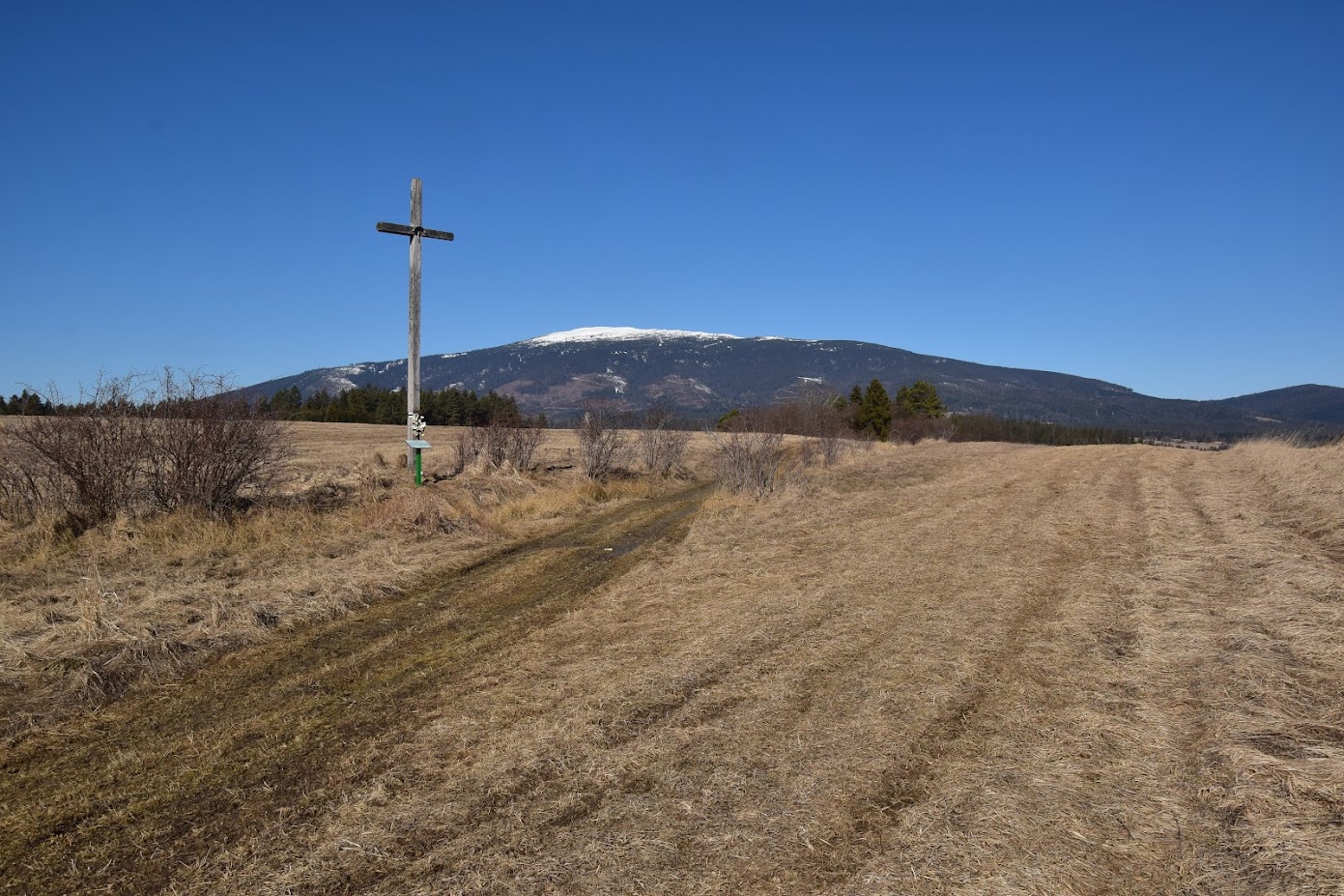 DSC_0119.JPG