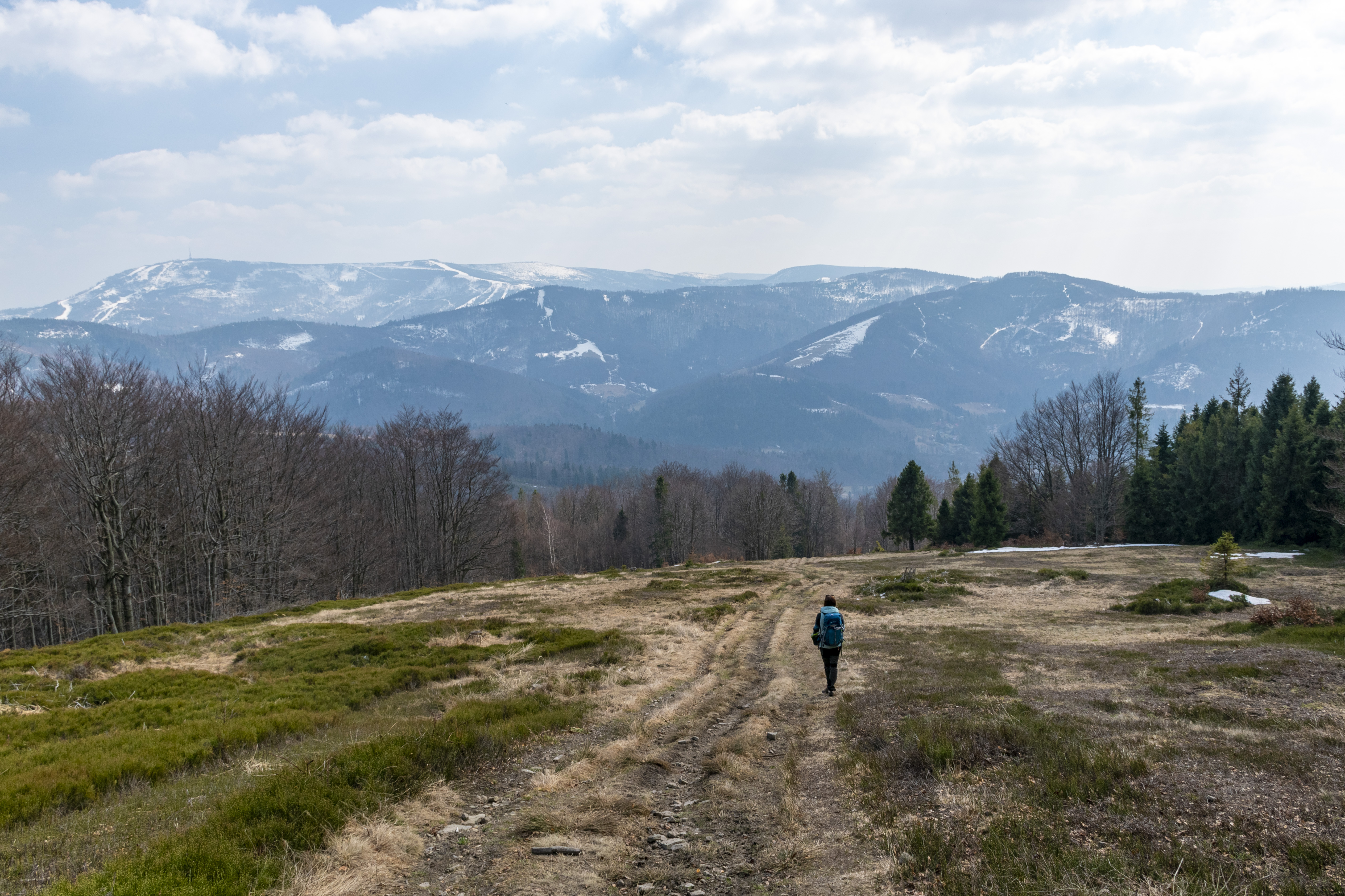 DSC_0201_1.JPG