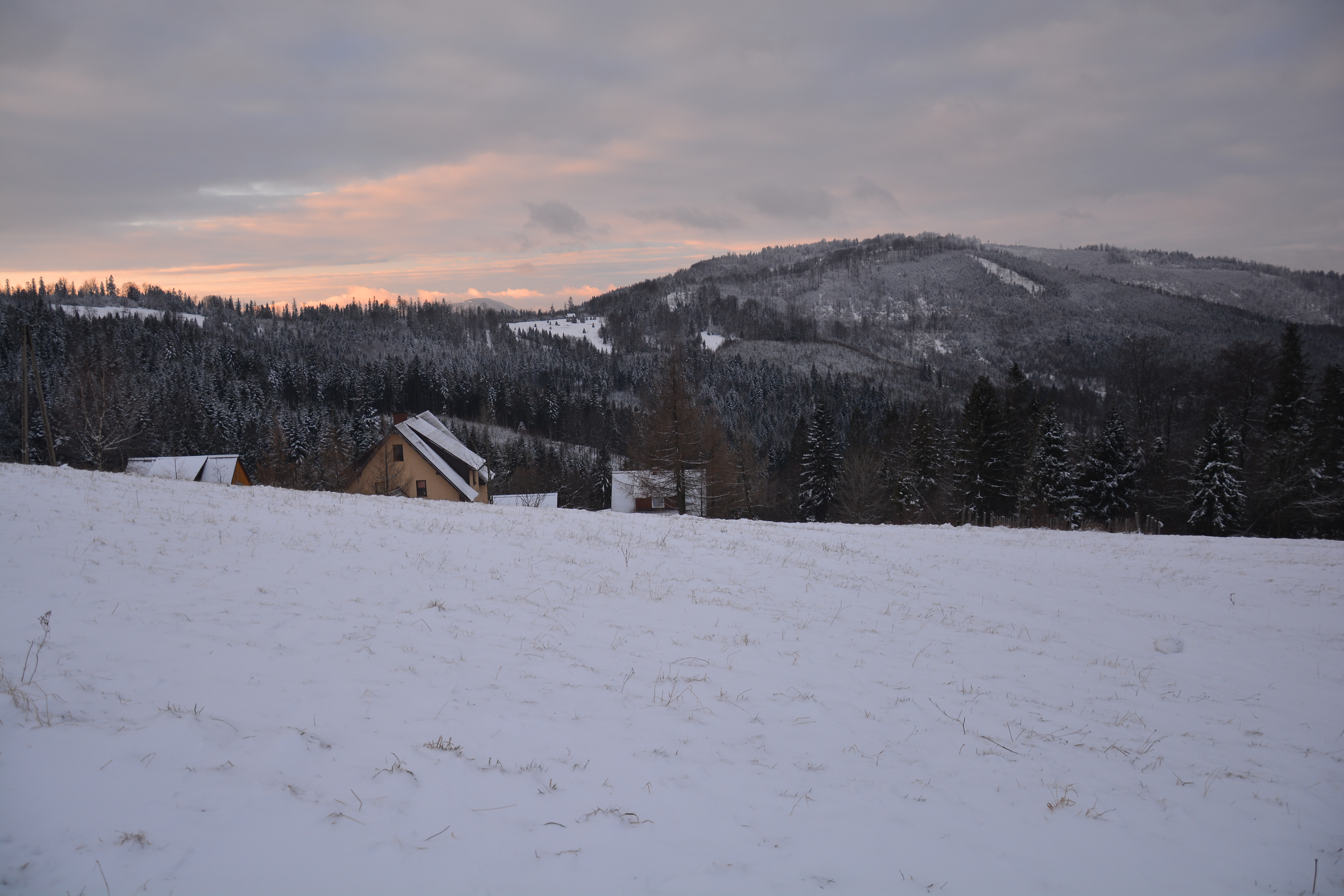 DSC_0041.JPG