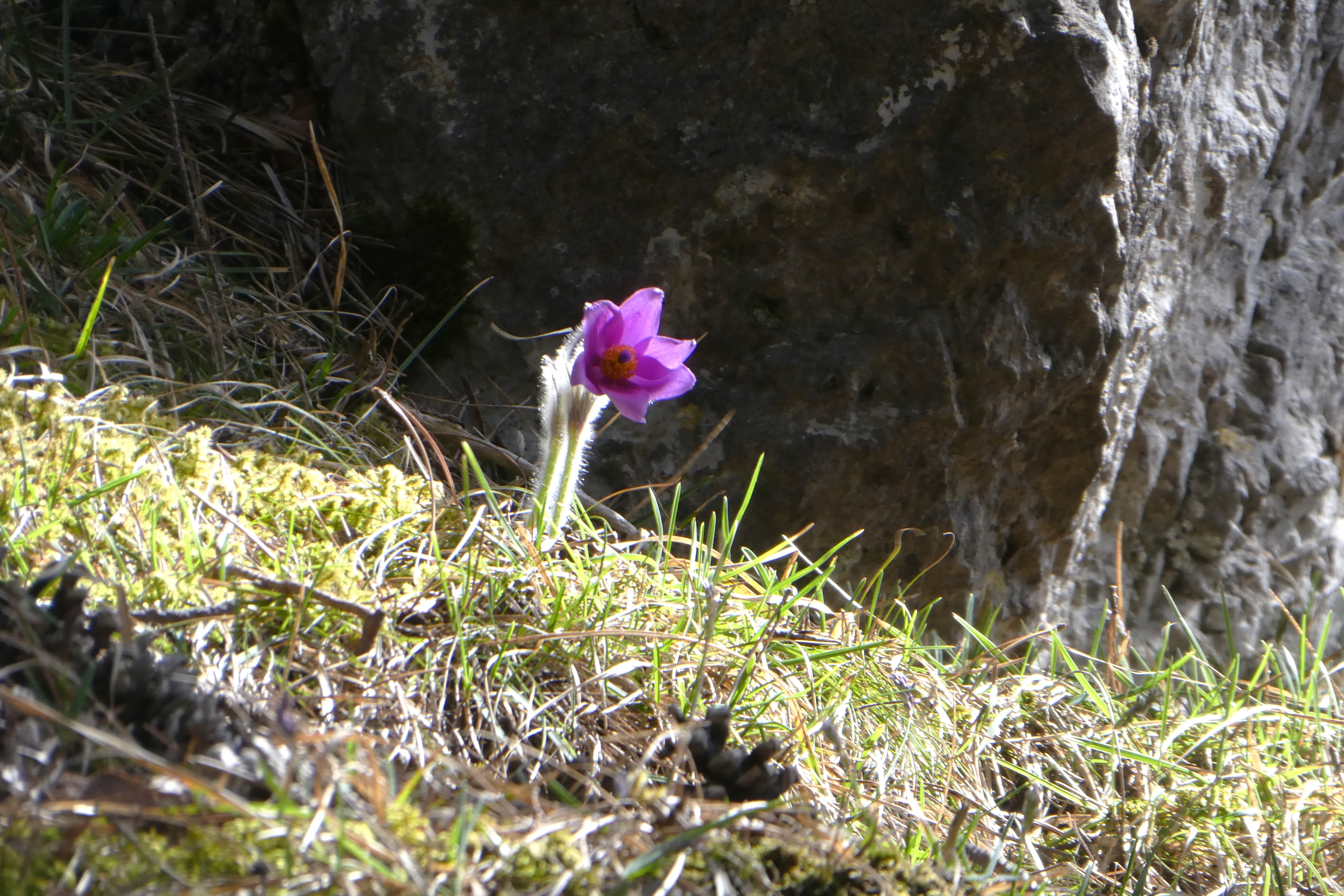 P1610610.JPG