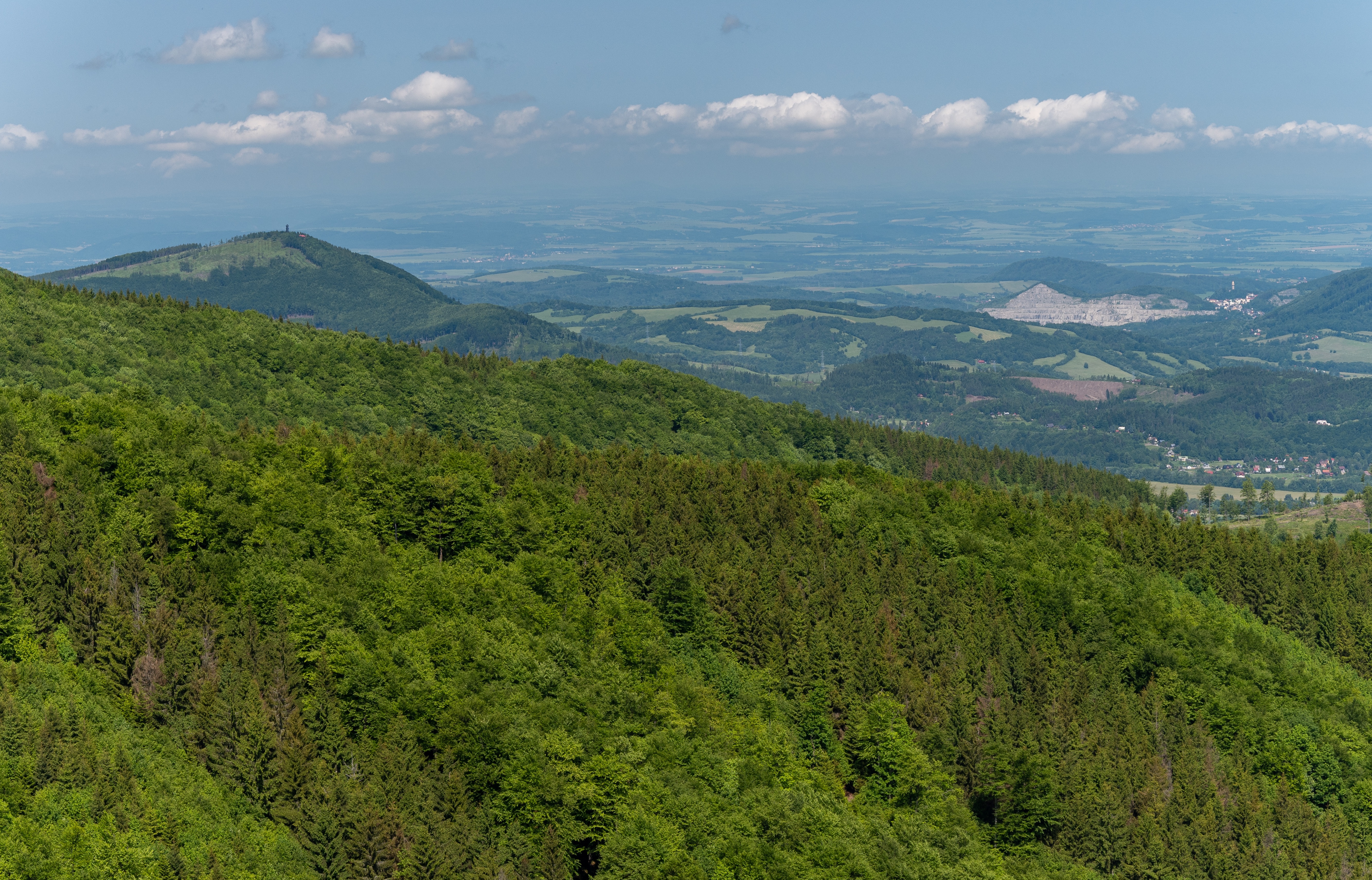 DSC_3452(1).jpg