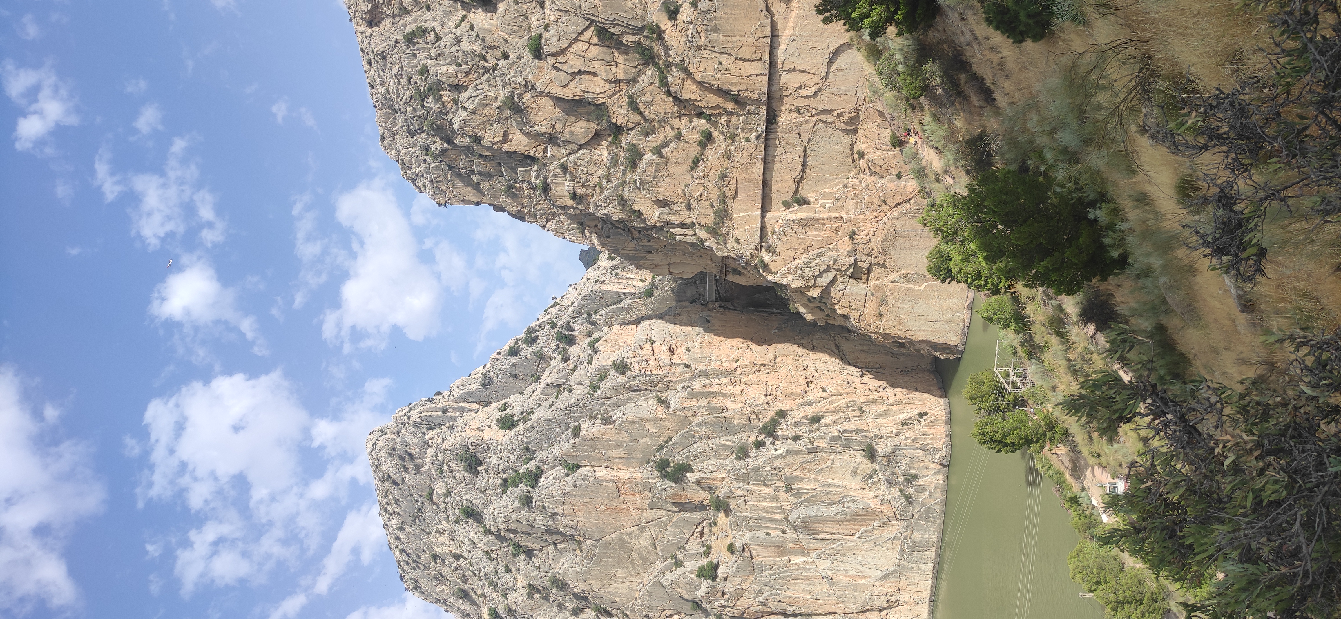 IMG_20250617_101937.jpg