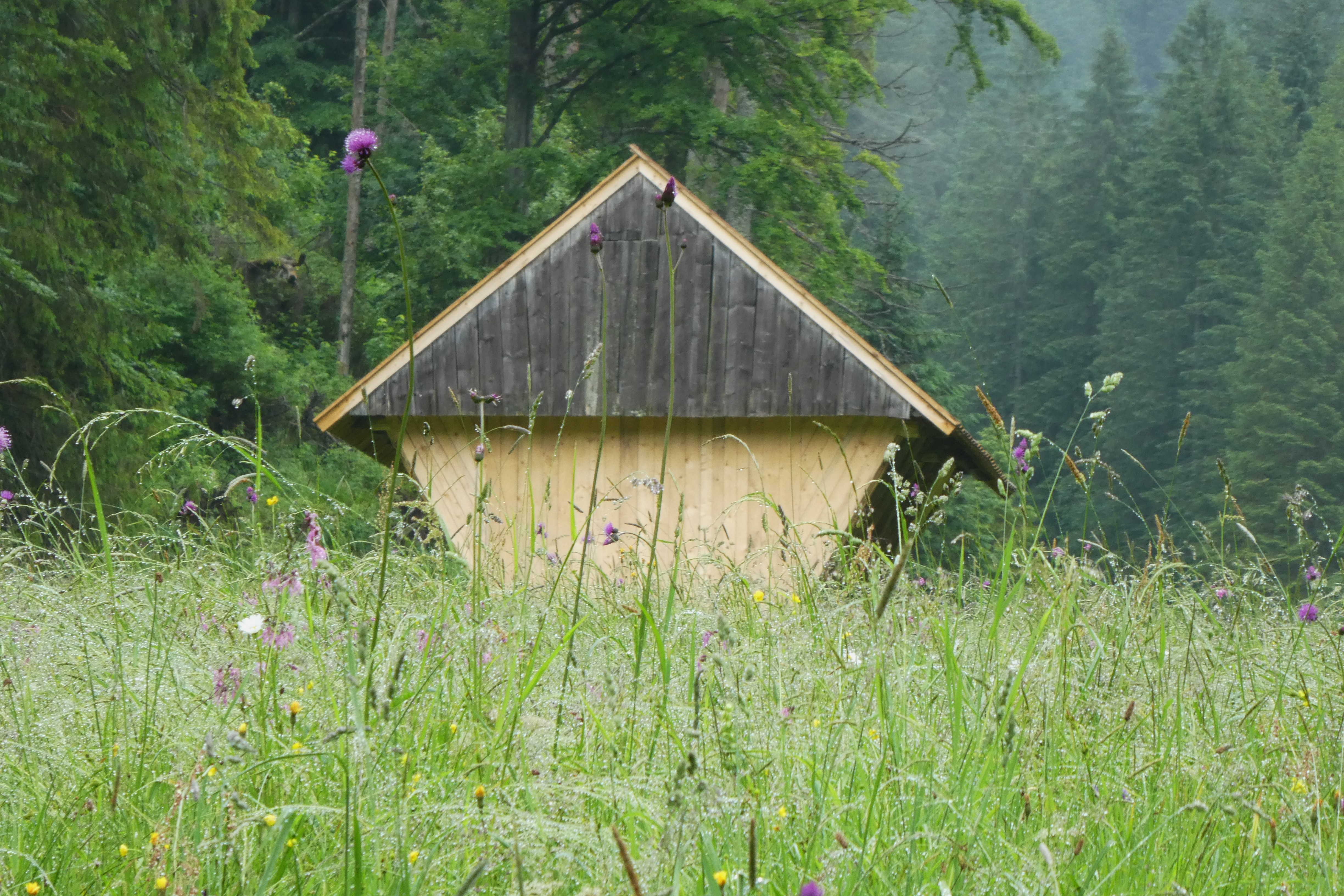 P1640866.JPG