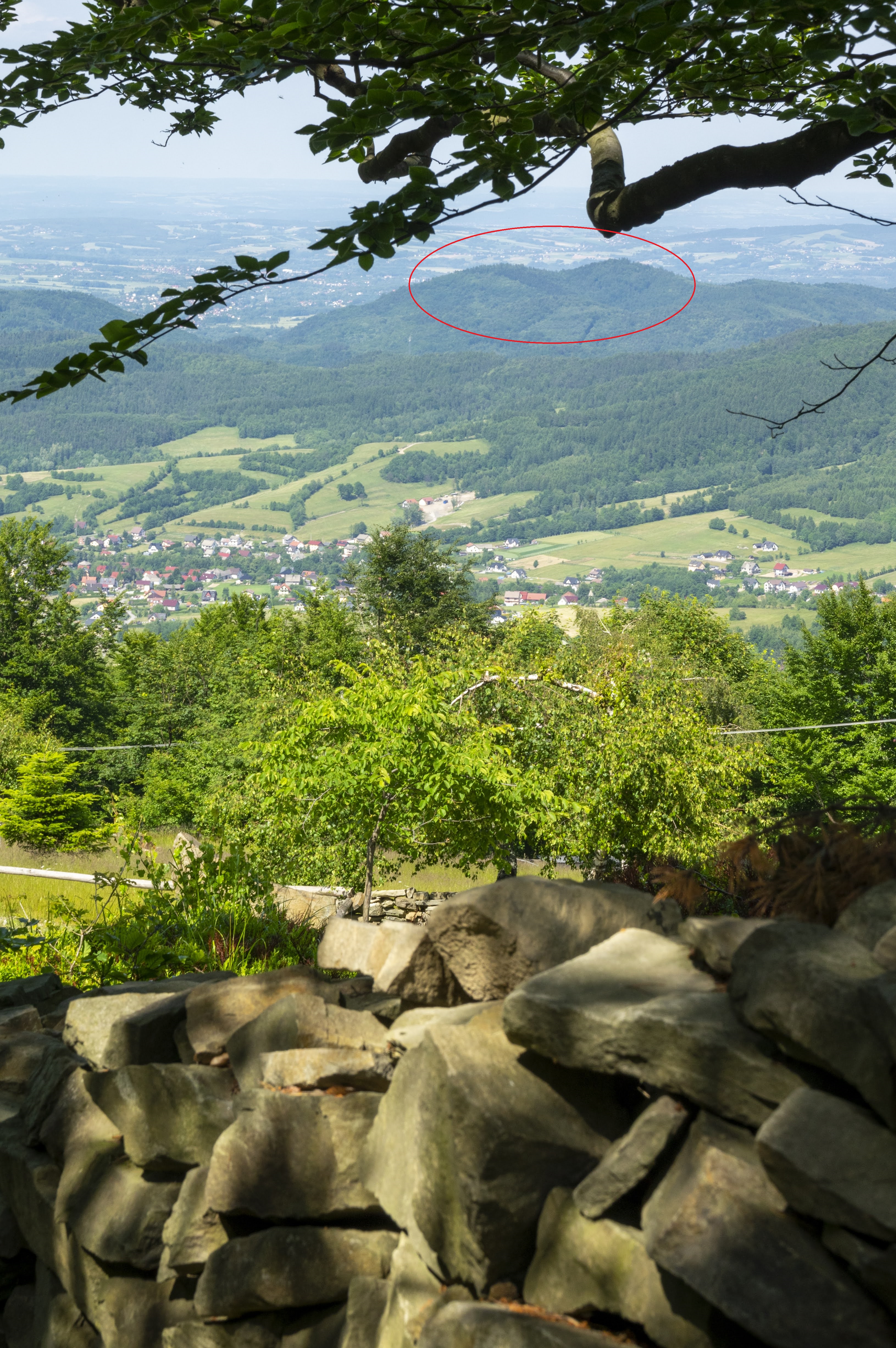 IMGP2880.jpg
