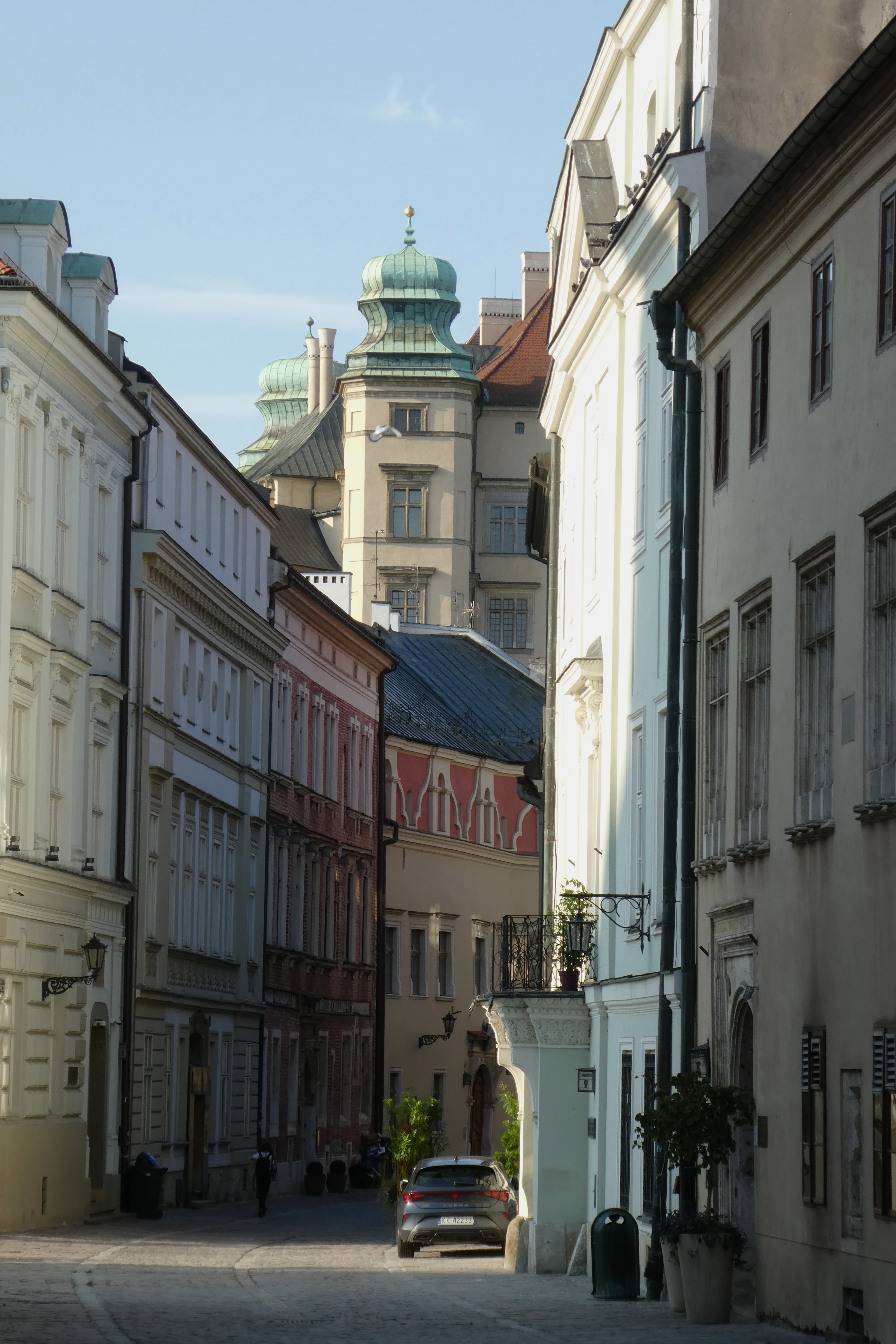 P1650886.JPG