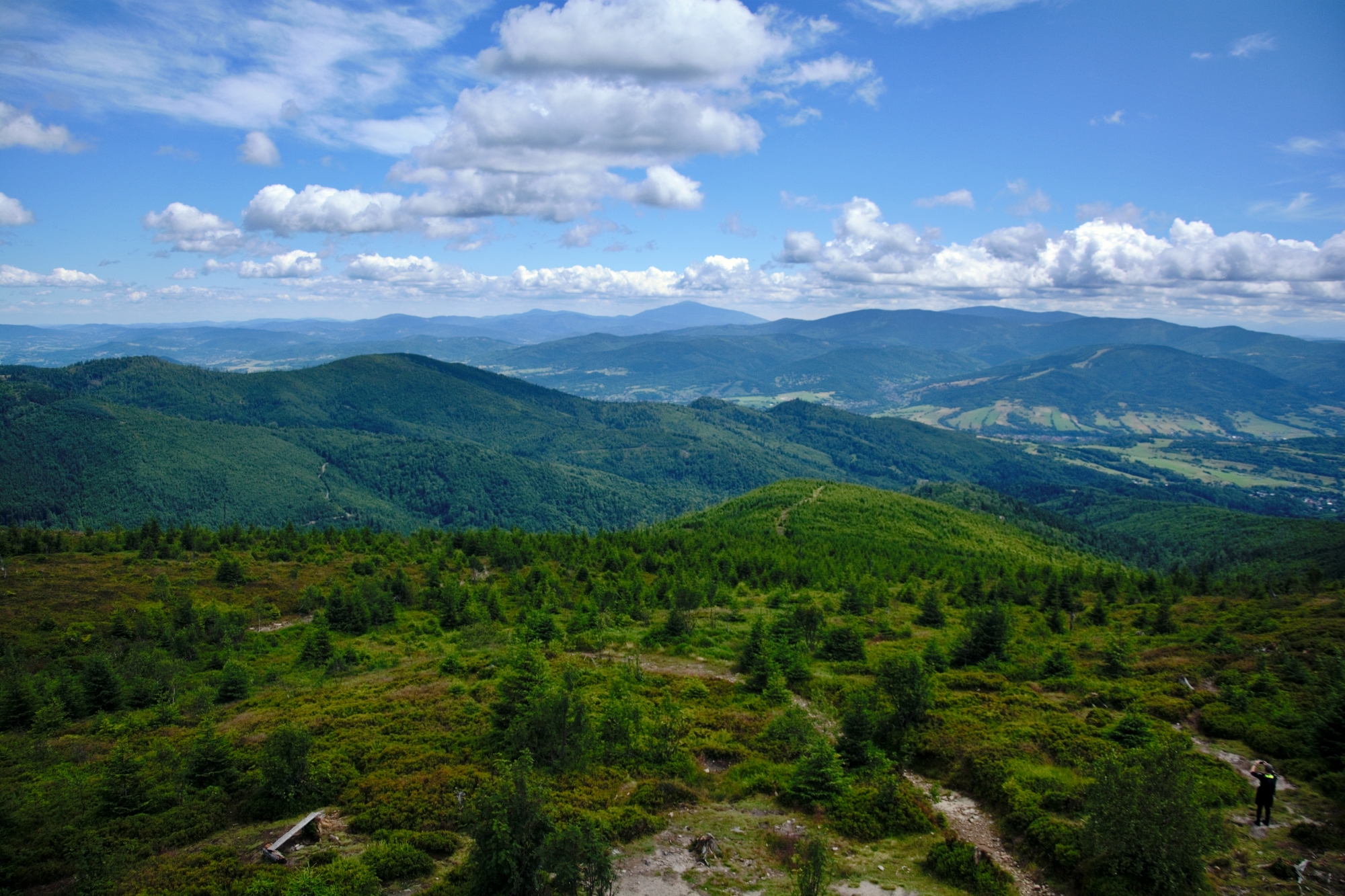 DSC_0054.jpg