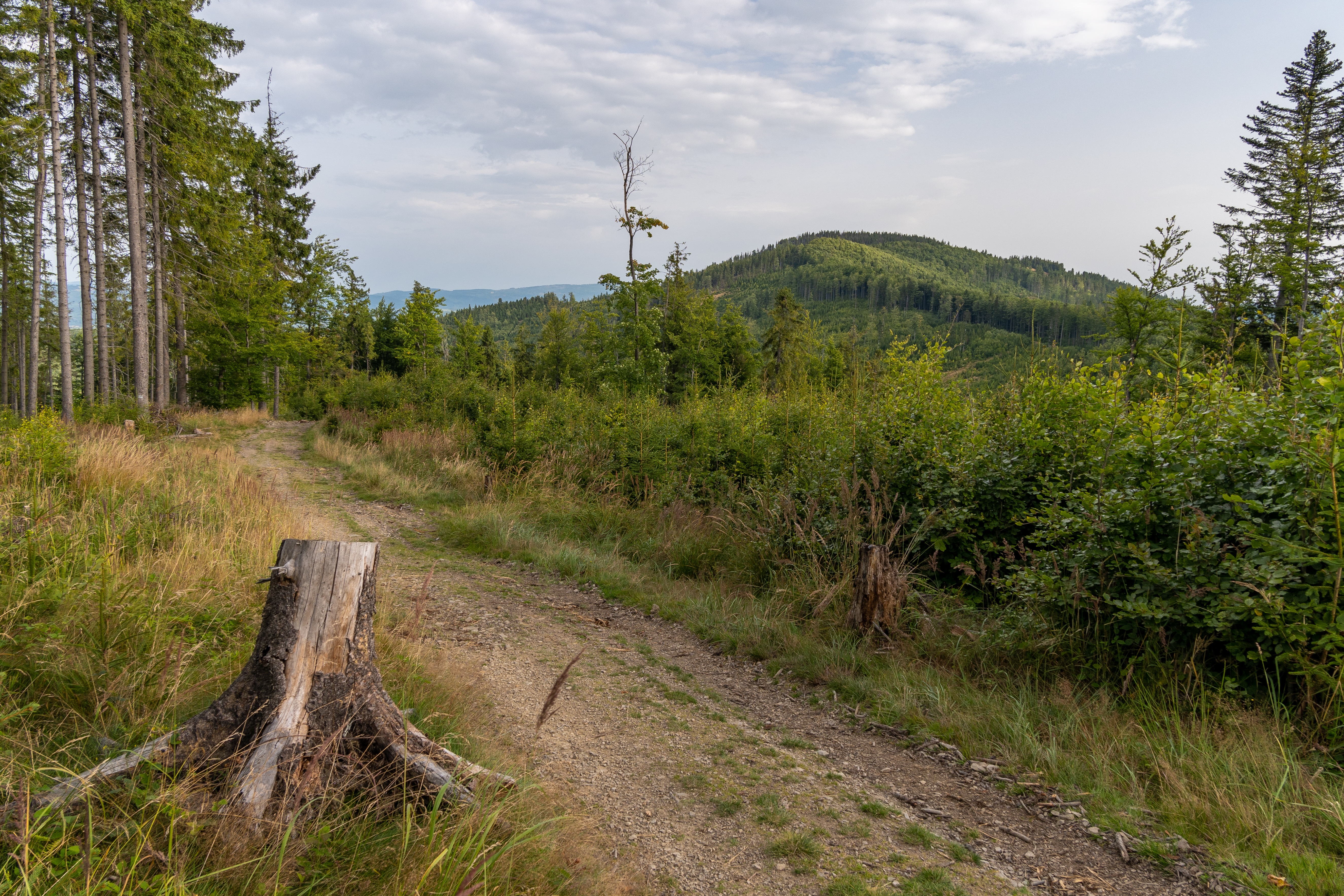 DSC_4052(1).jpg