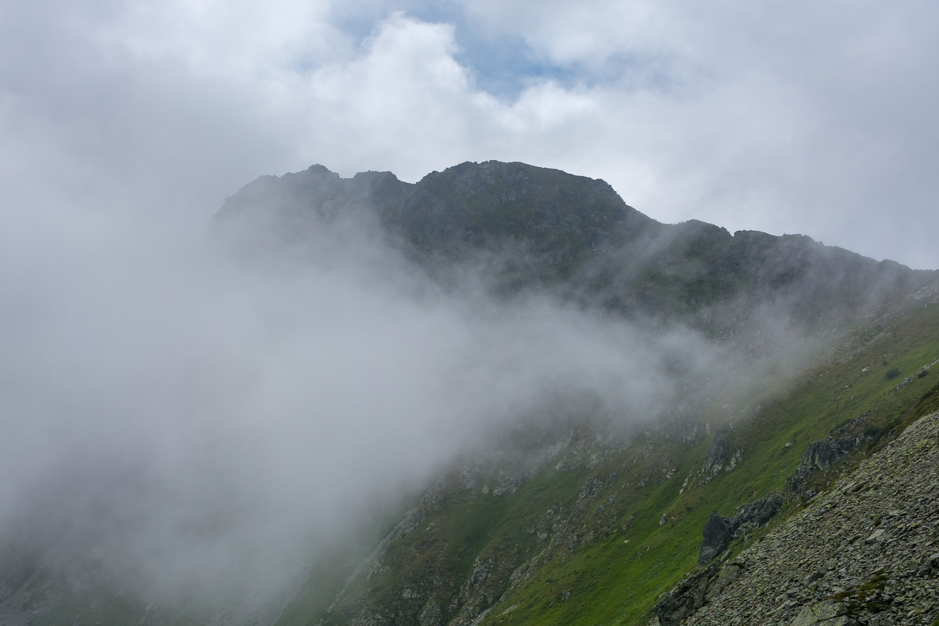 DSC_1111.jpg