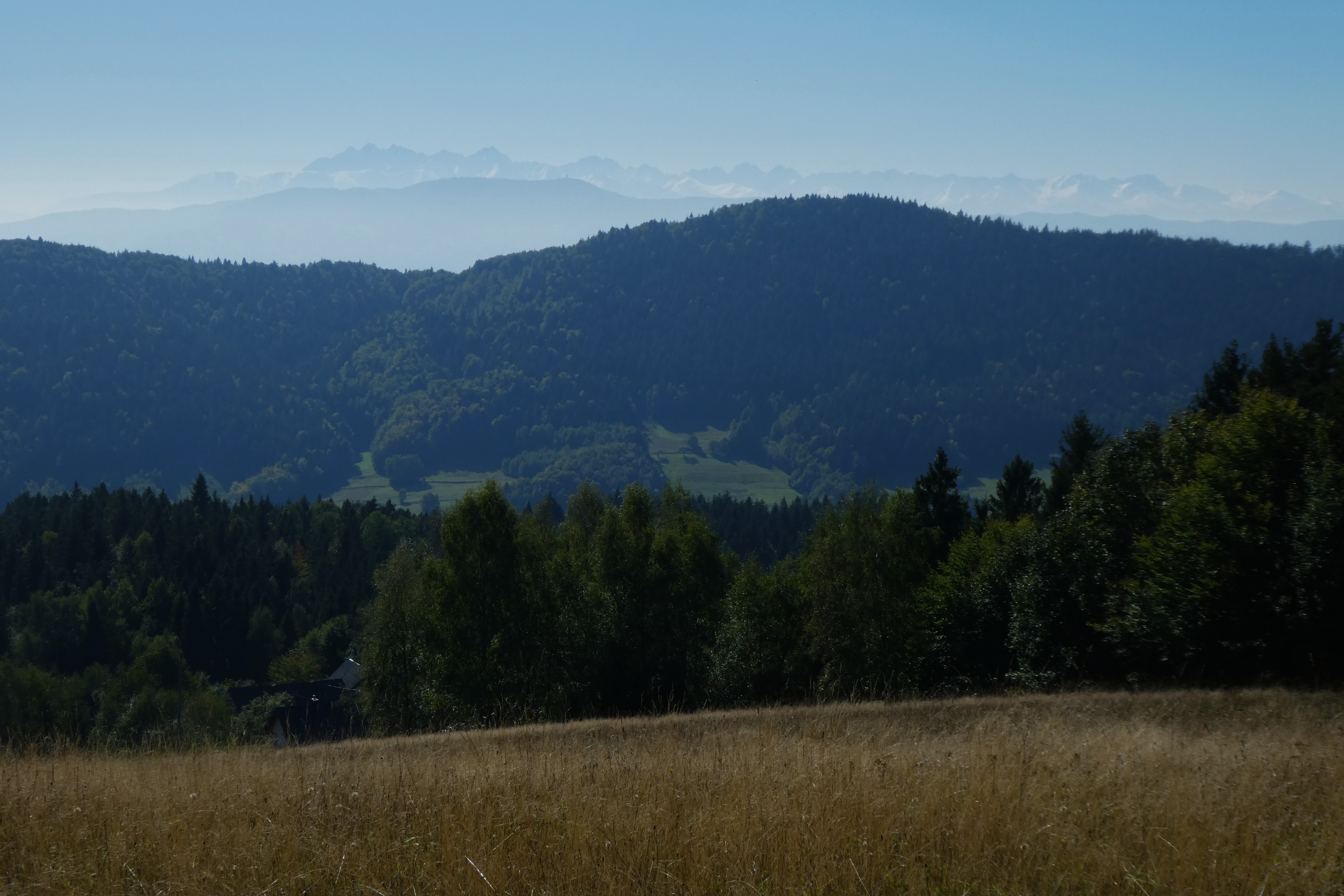 P1690441.JPG