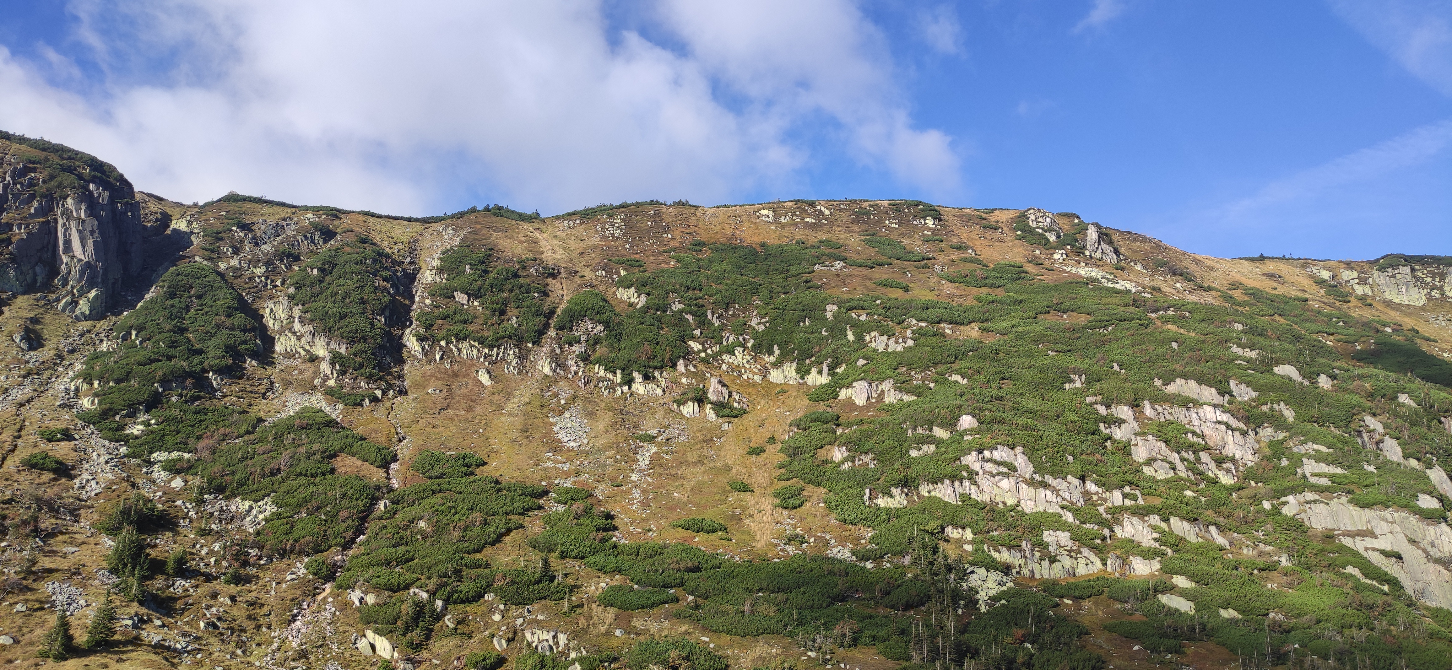 IMG_20250928_101131.jpg