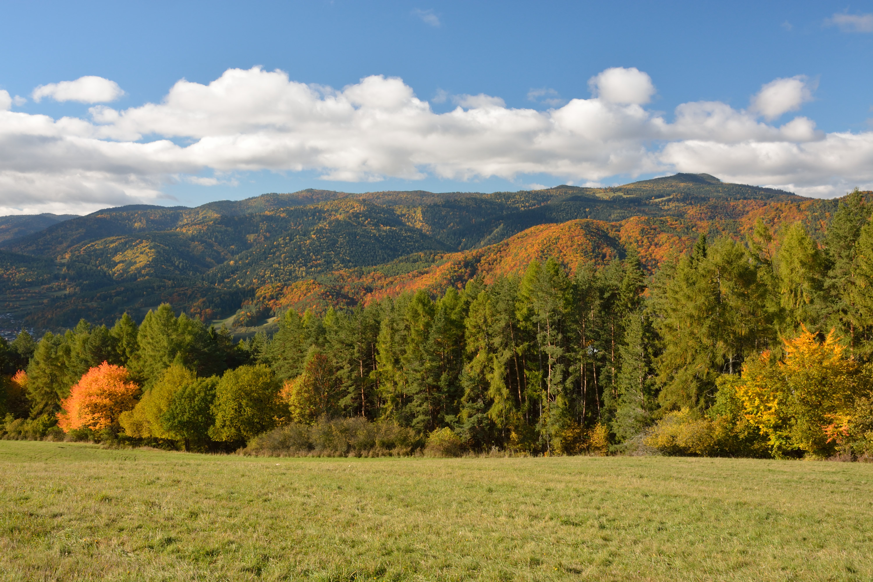 DSC_2142.JPG