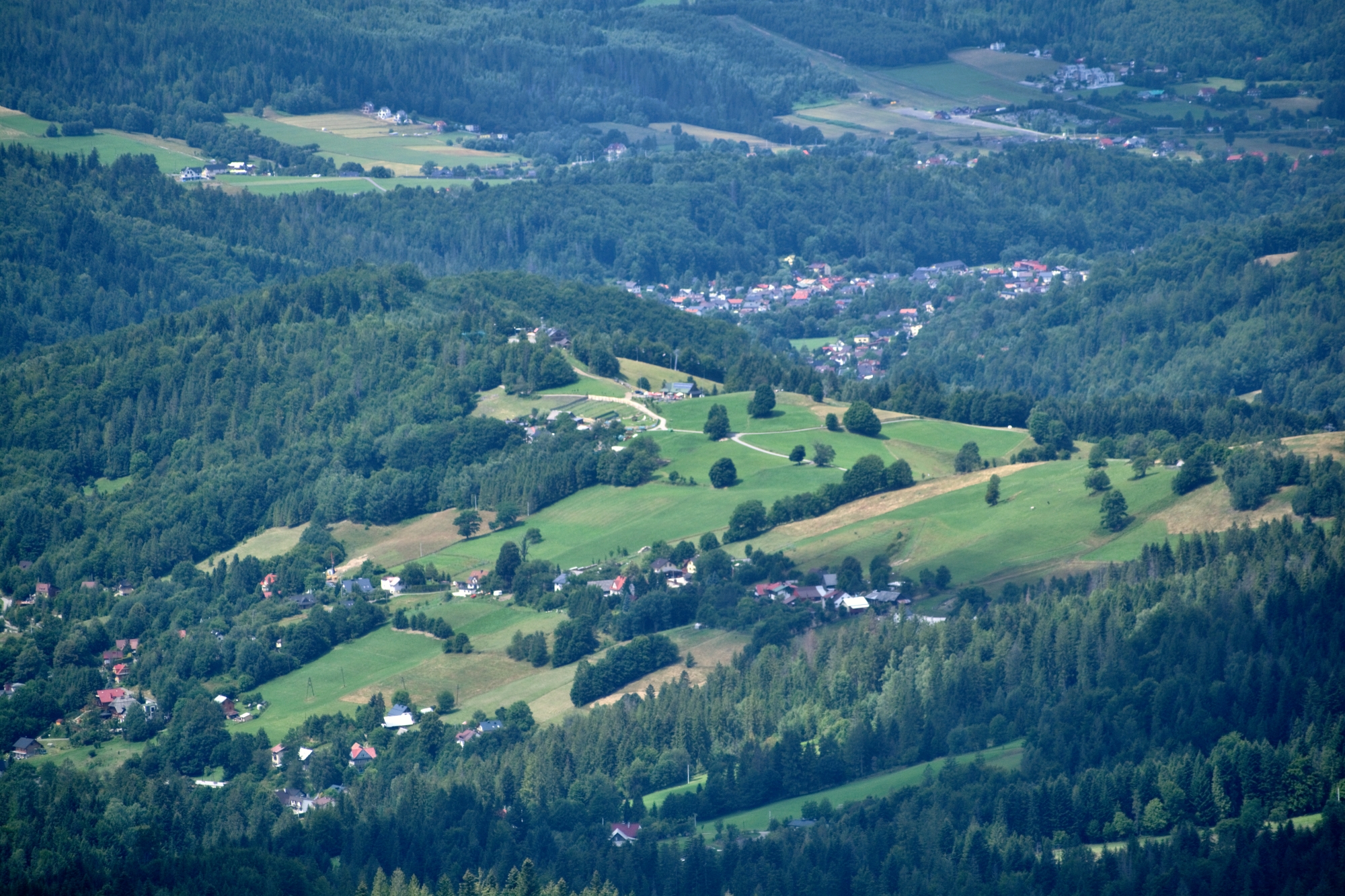 DSC_0064.jpg