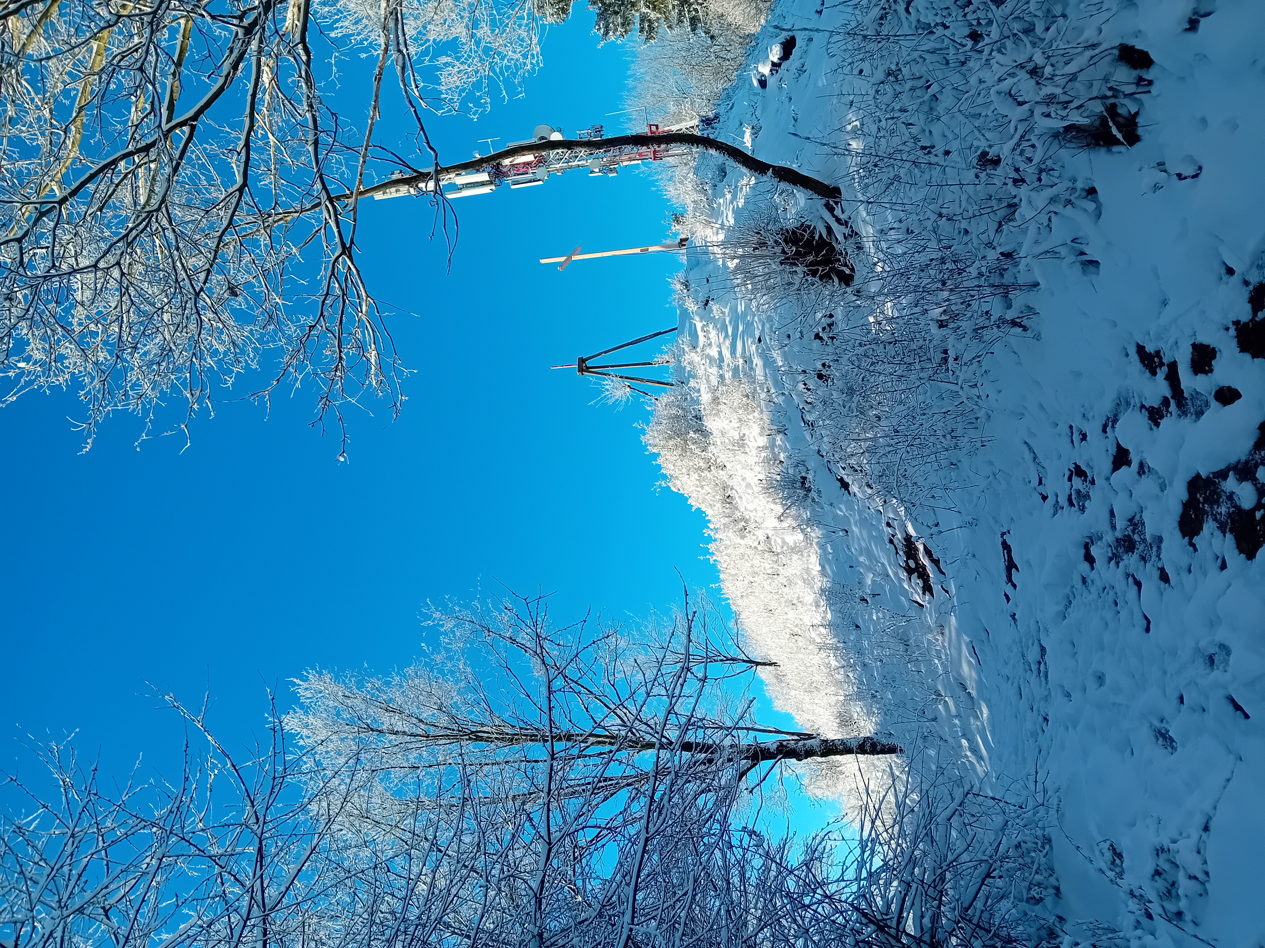20251128_093504.jpg