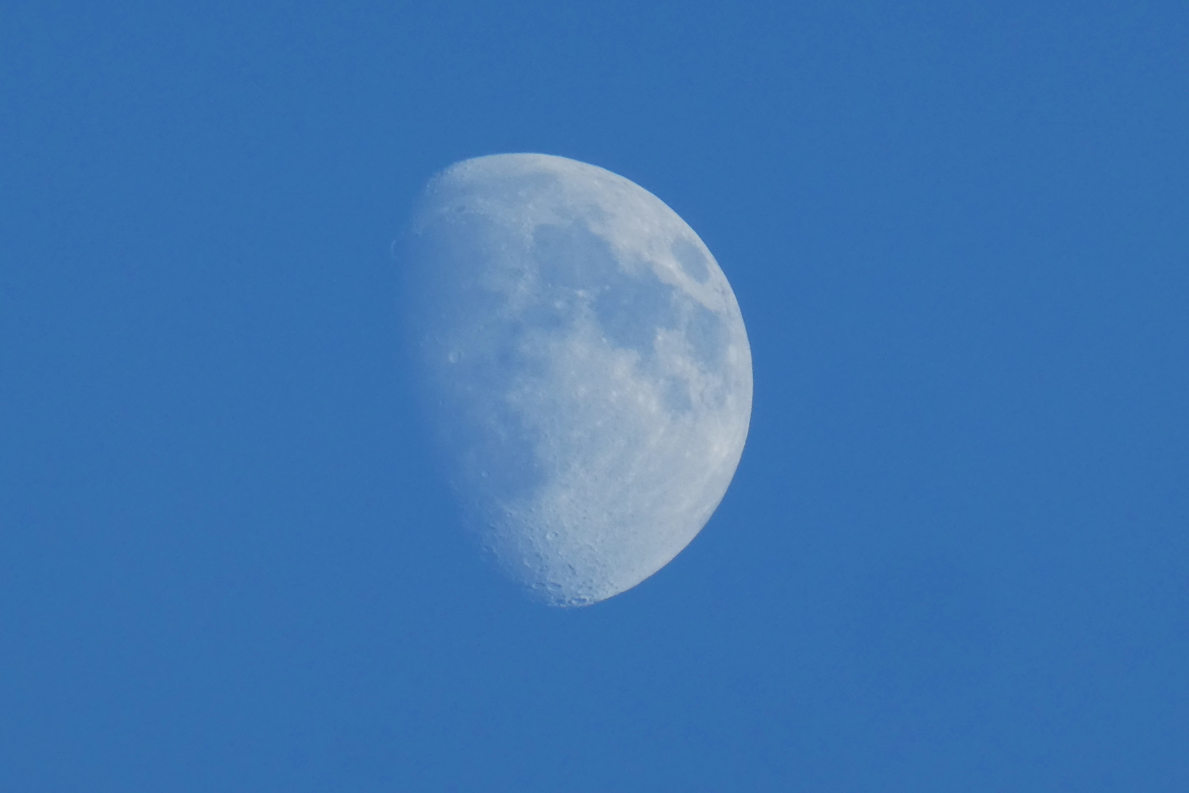 P1710843.JPG