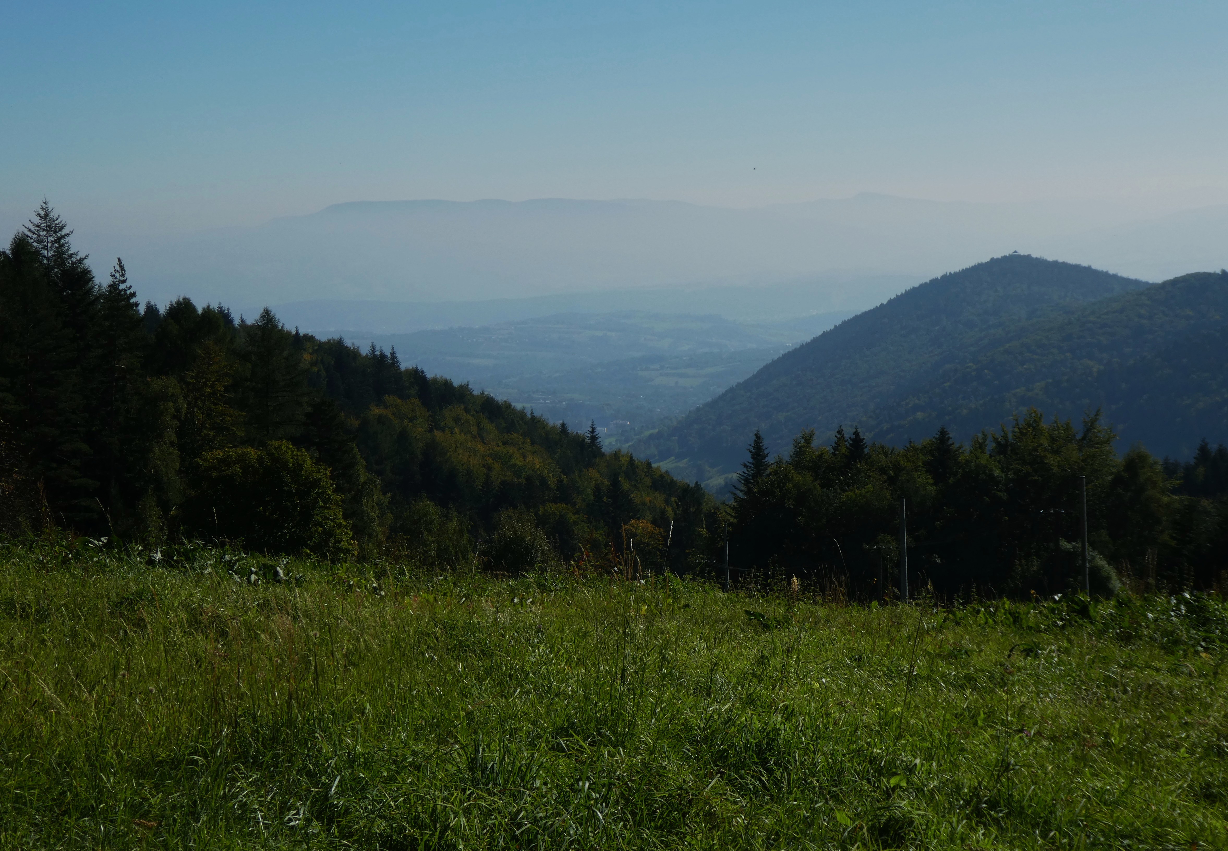 P1690415.JPG