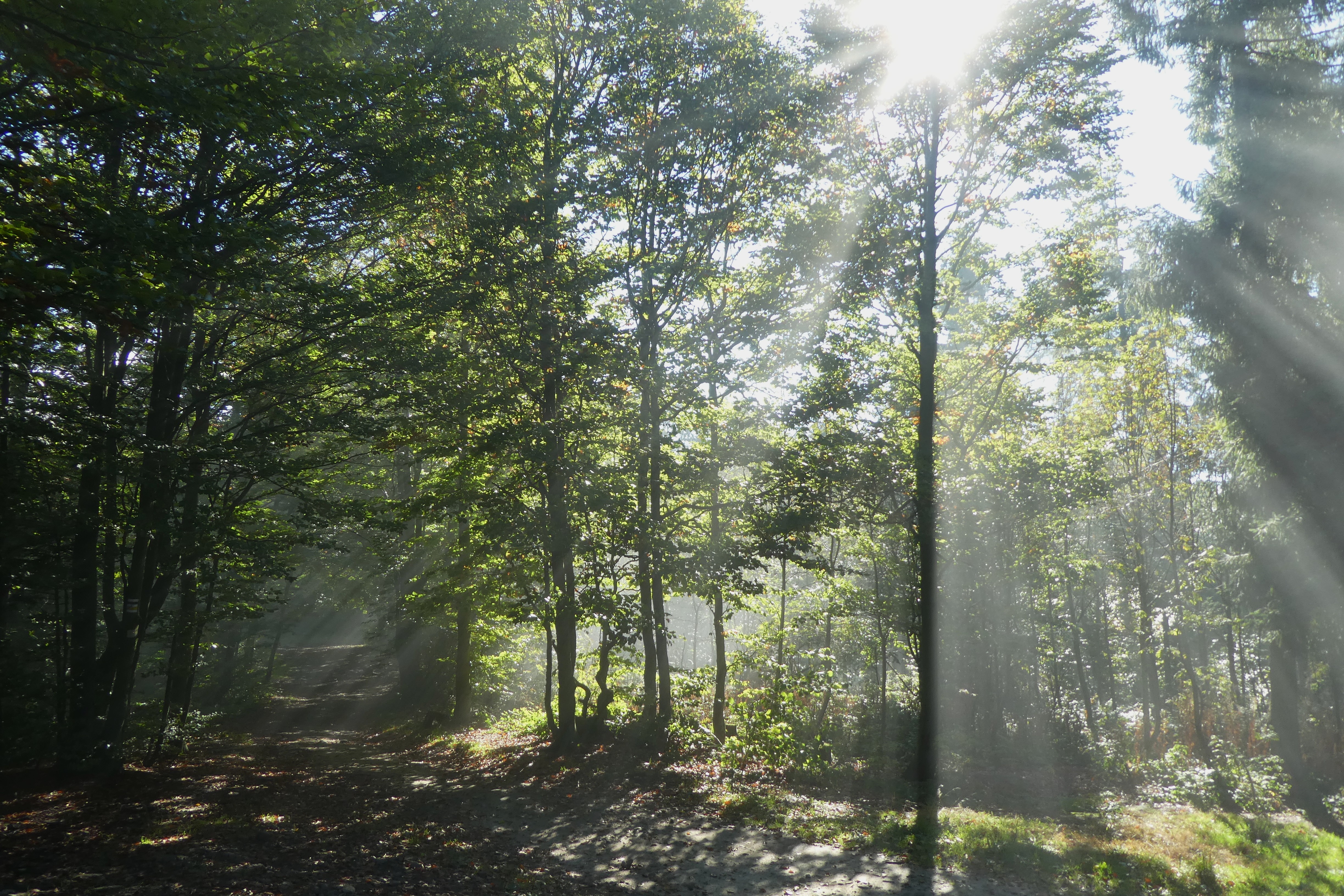 P1690343.JPG