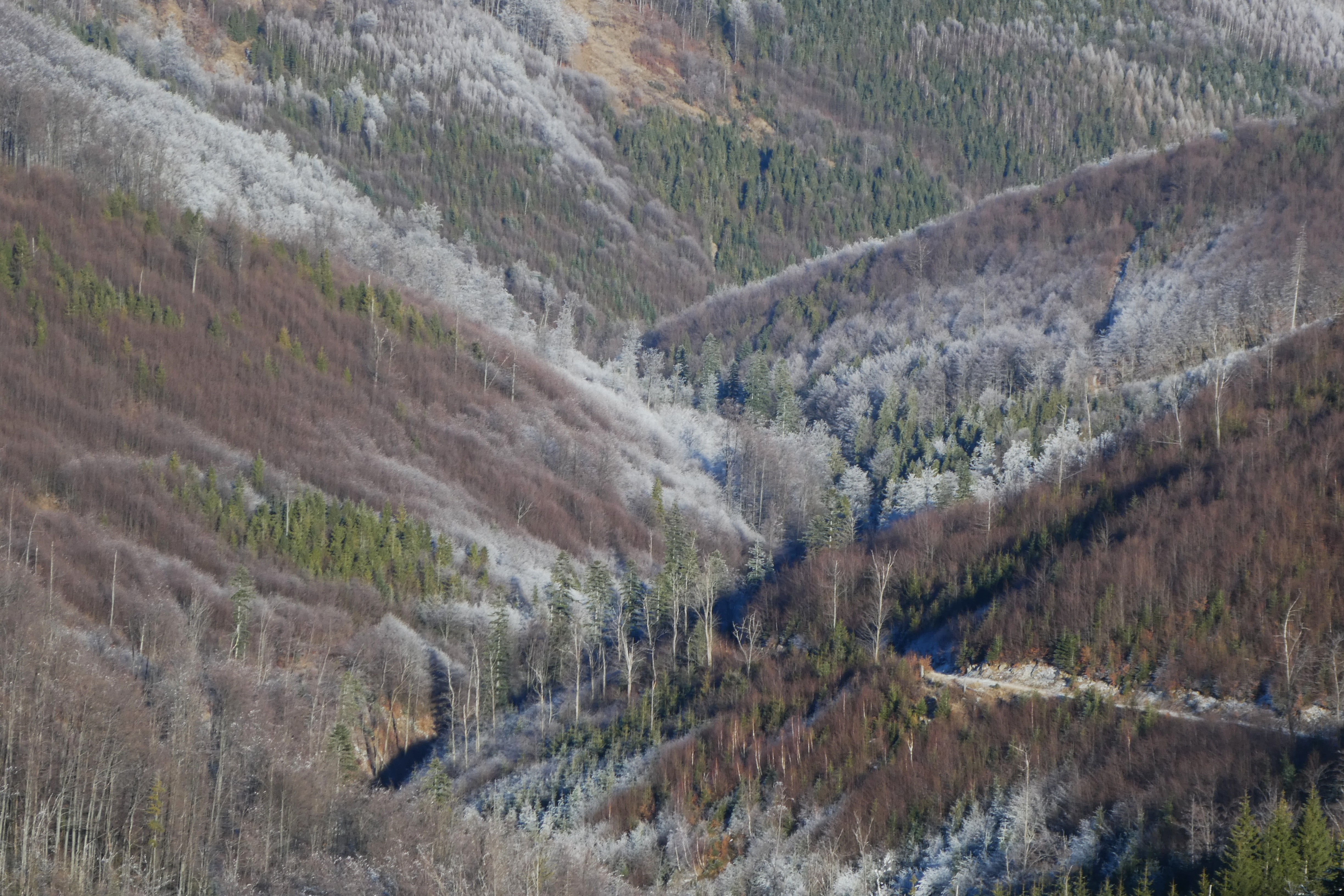 P1720560.JPG