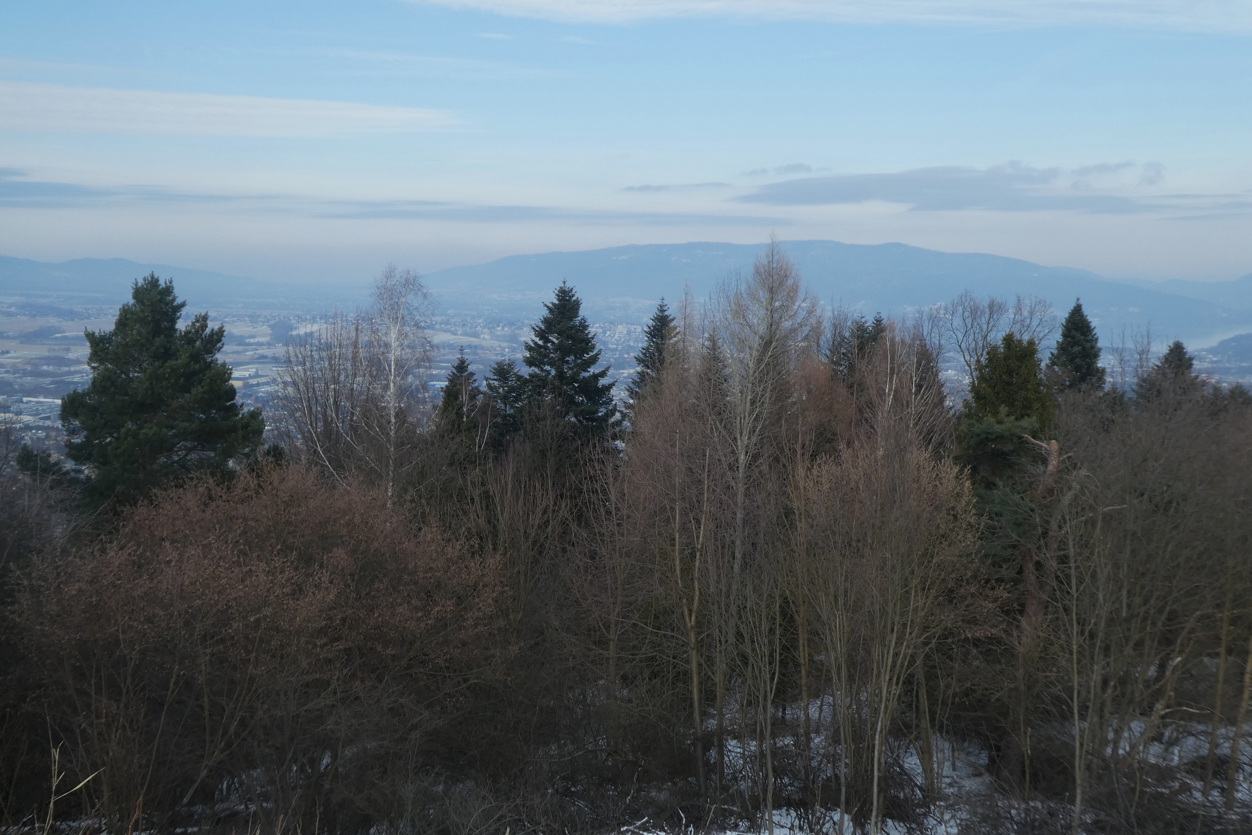 P1720845.JPG