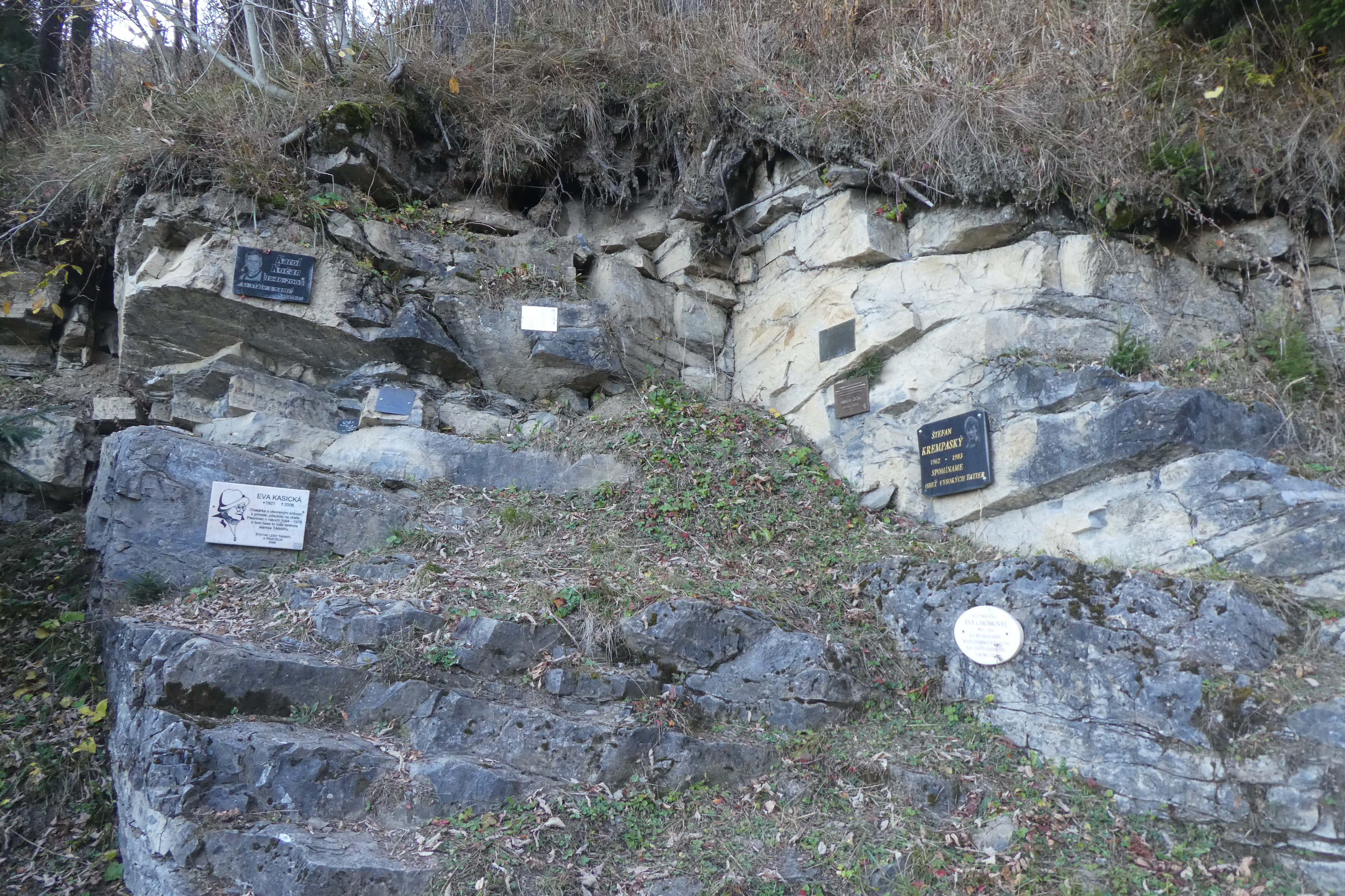 P1560650.JPG