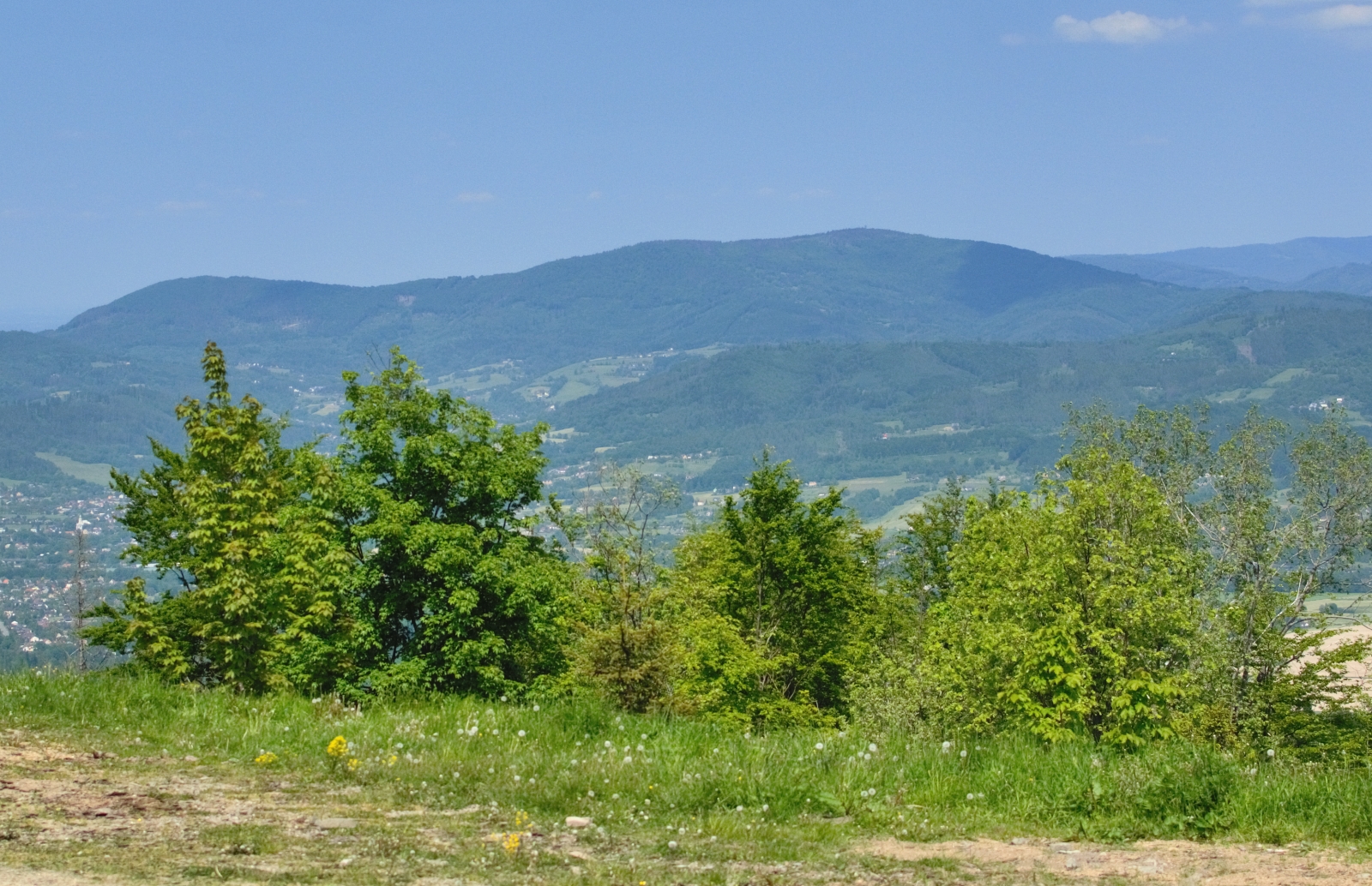 DSC_0115.jpg
