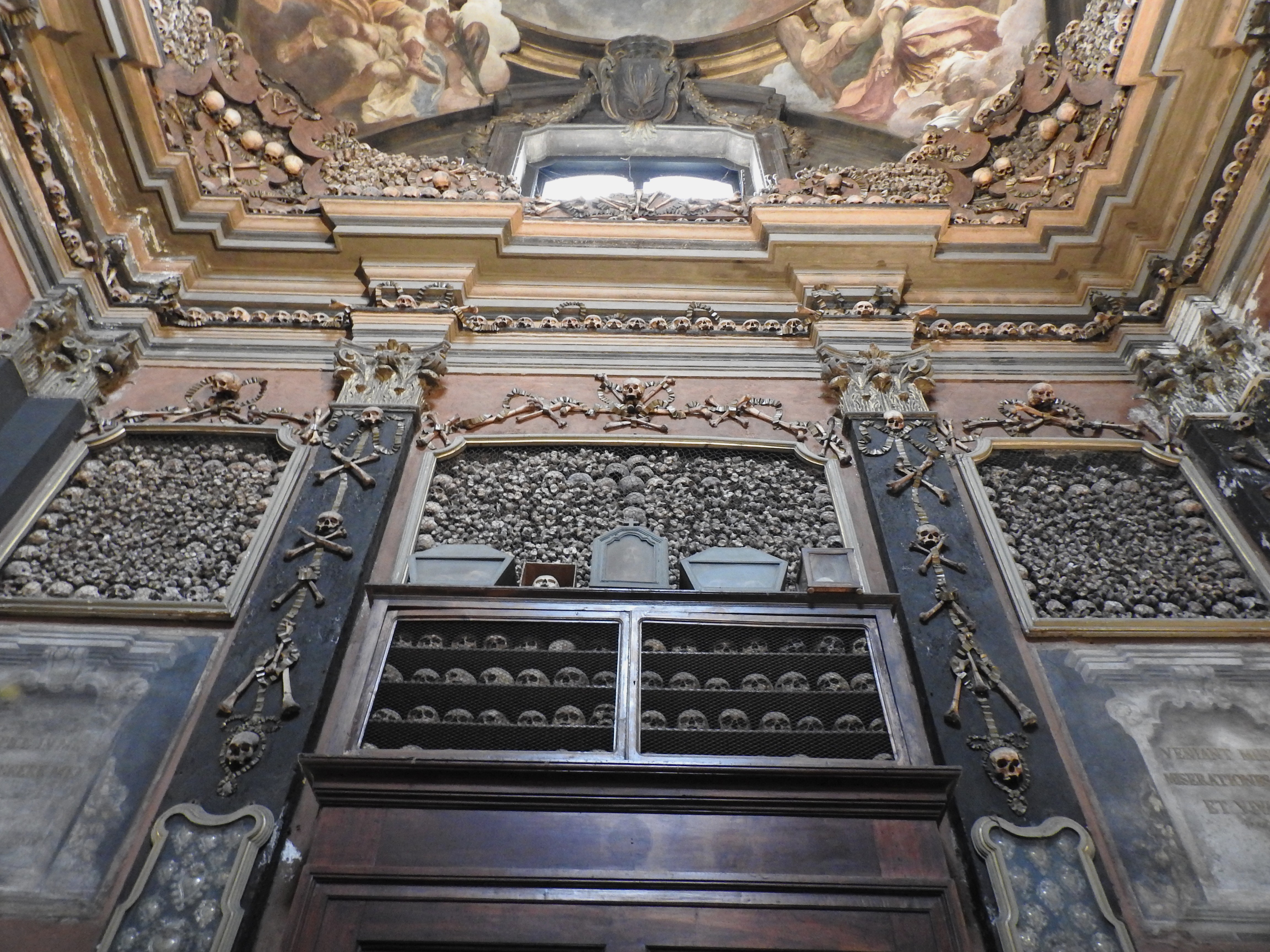 DSCN7417.JPG