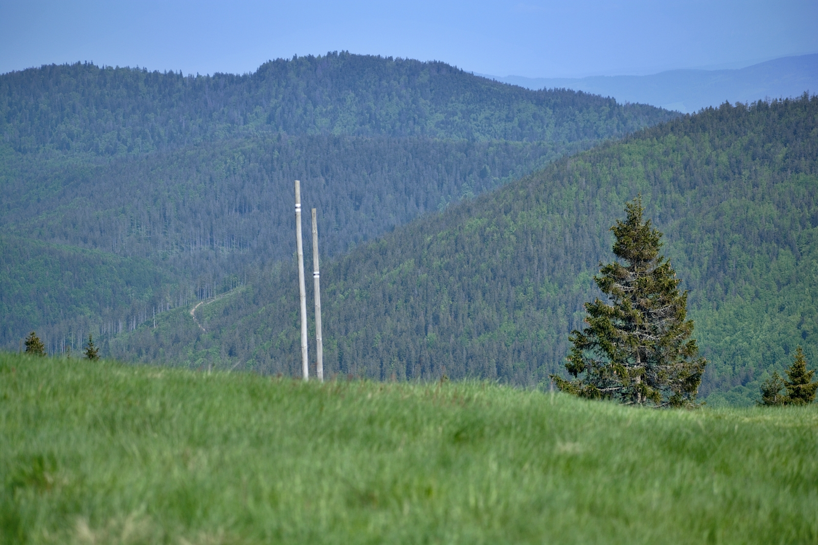 DSC_0104.jpg
