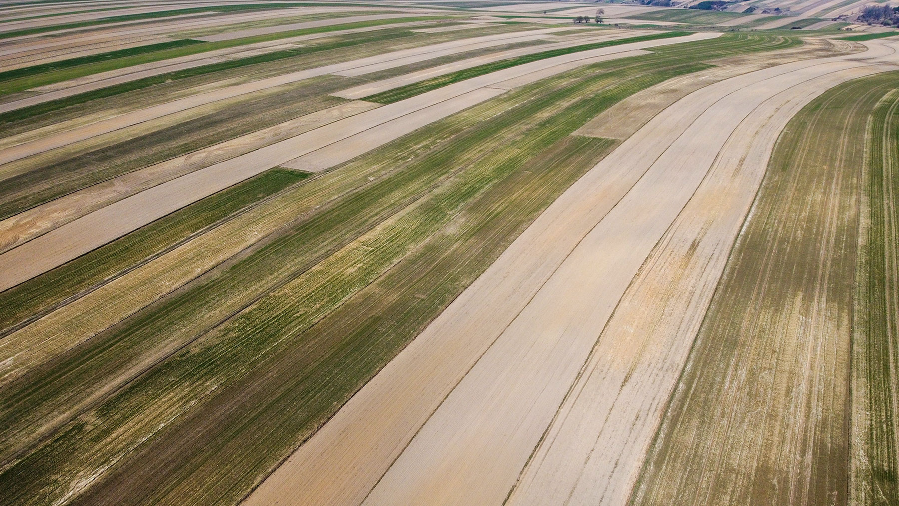 DJI_0345.jpg