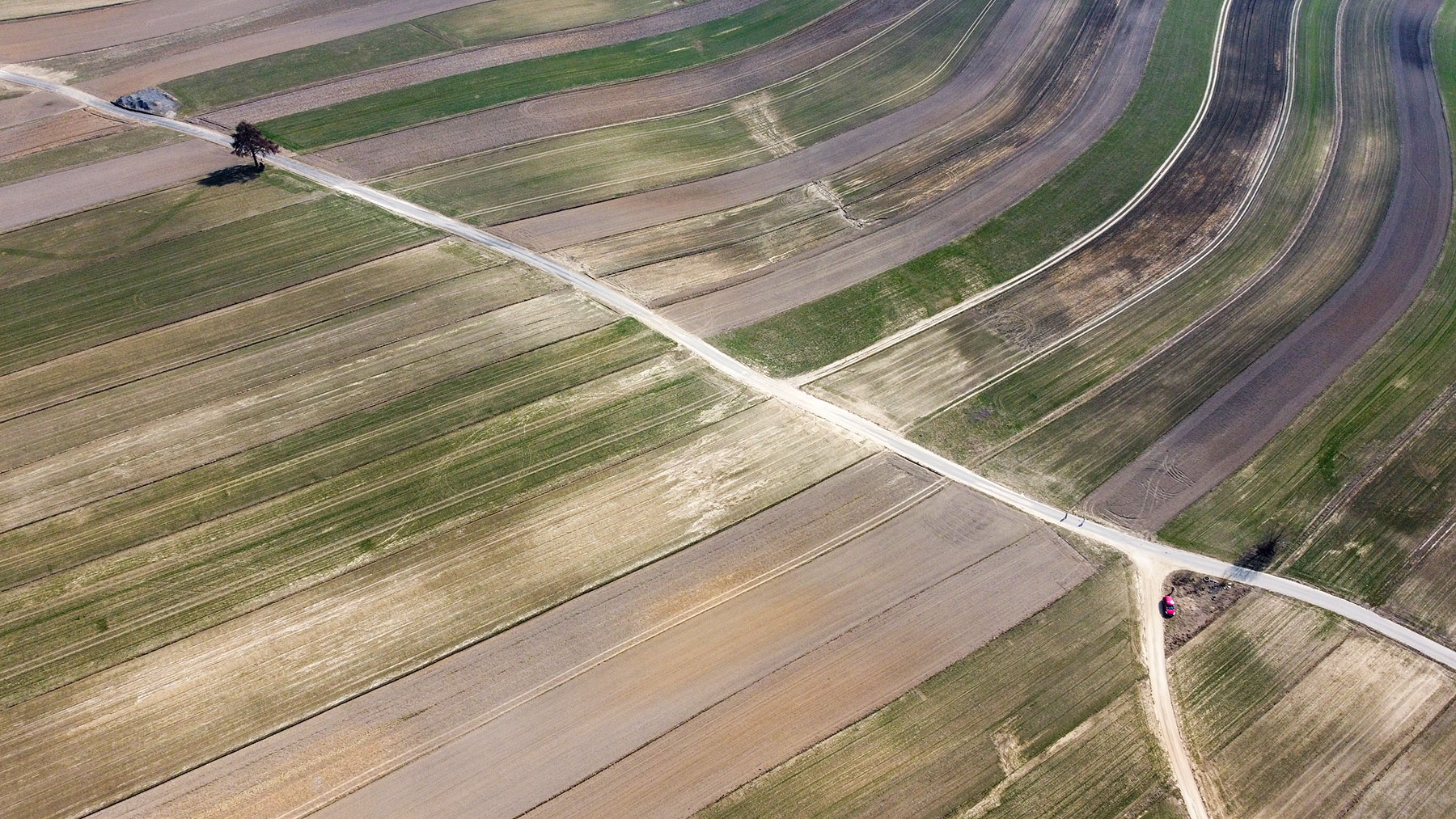 DJI_0350.jpg